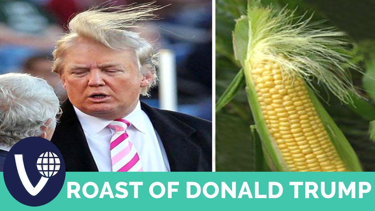Donald Trump Funny Picture