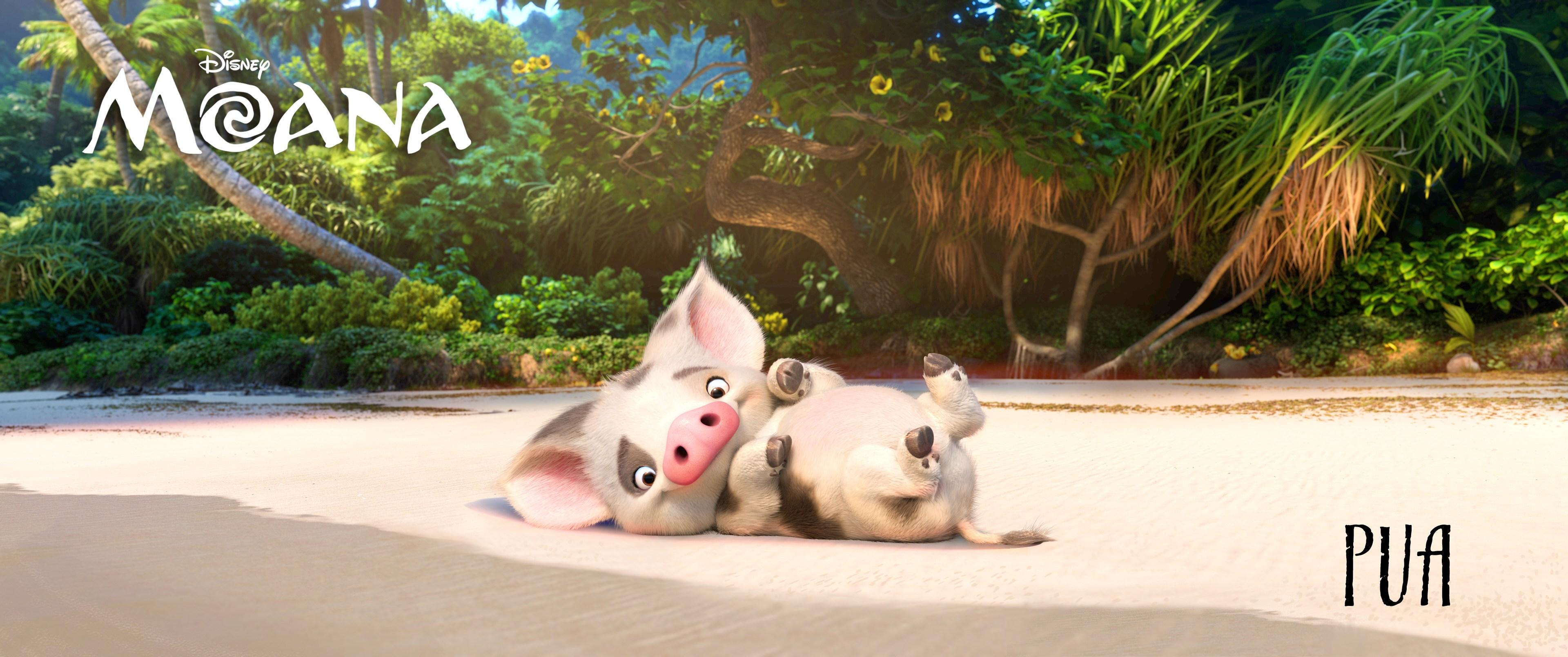 Disney's Moana Characters and Voice Cast Revealed