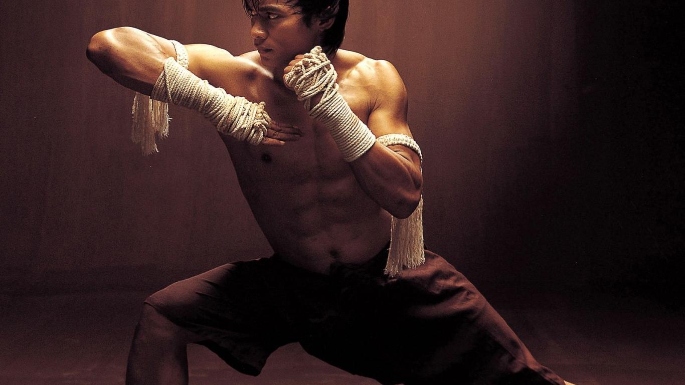 Tony Jaa, Update's, Discussion & Appreciation