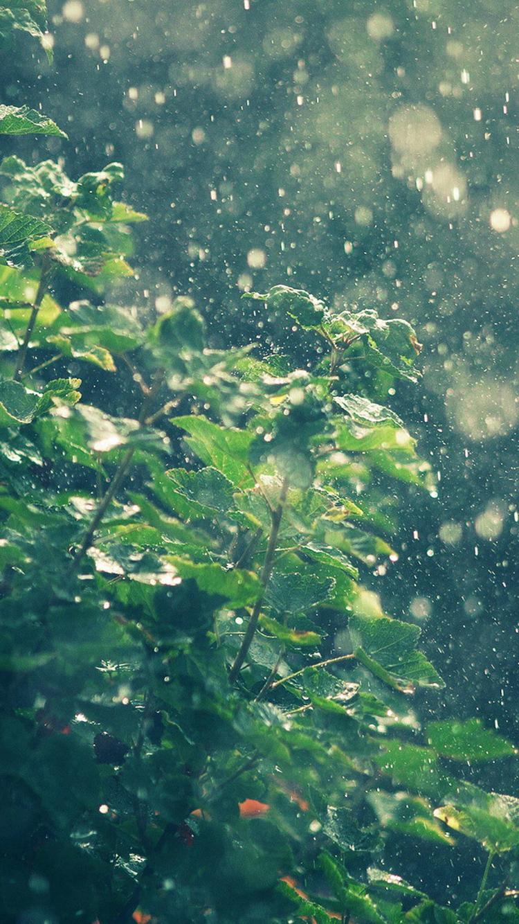 Summer Rain Water Drops Bokeh iPhone 6 Wallpapers HD