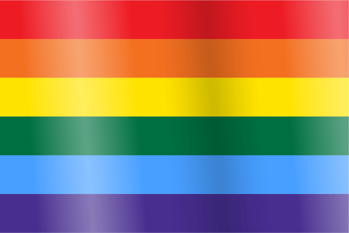 LGBT+ Sexuality & Gender Identity Pride Flags
