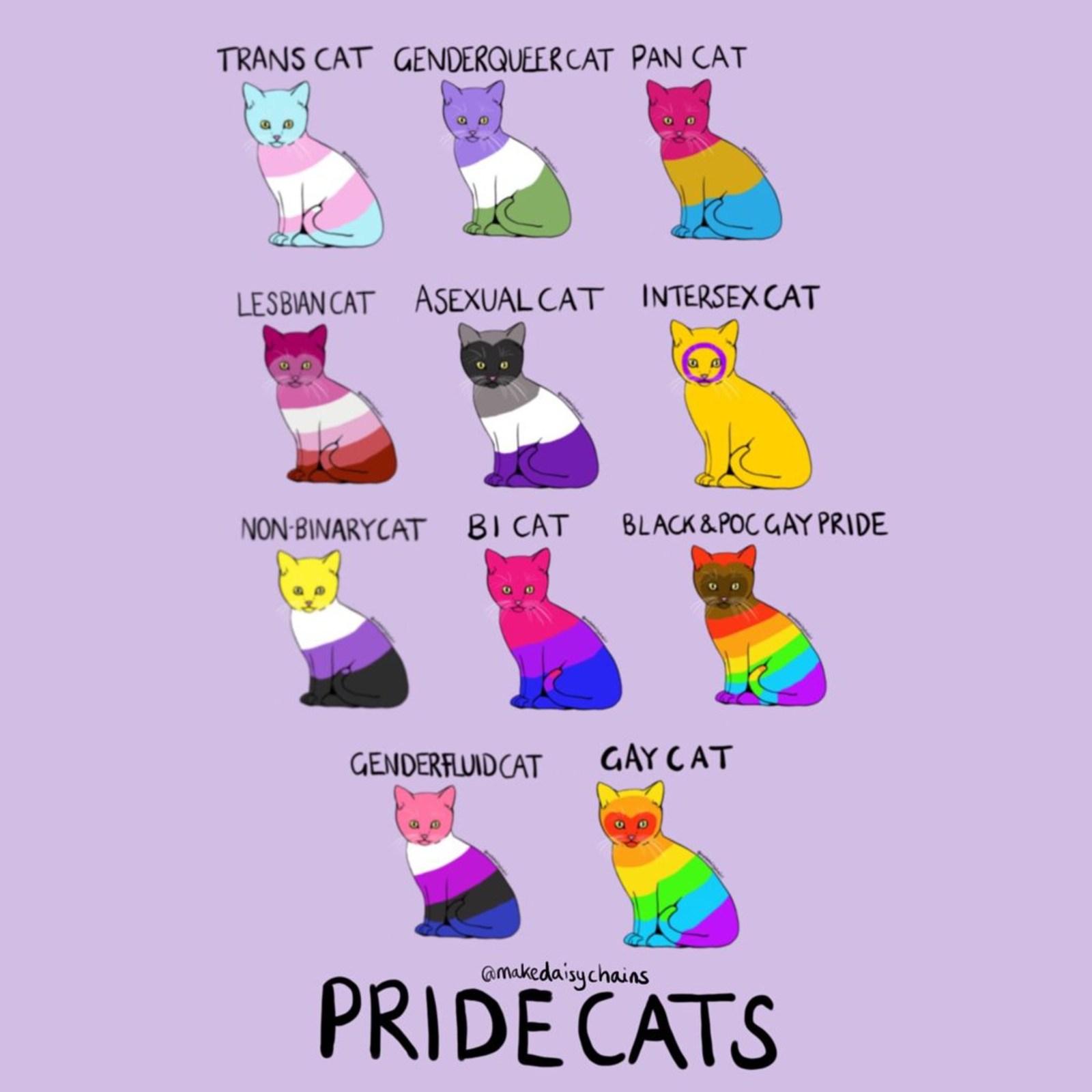 Pansexual Pride Flag Wallpapers - Wallpaper Cave
