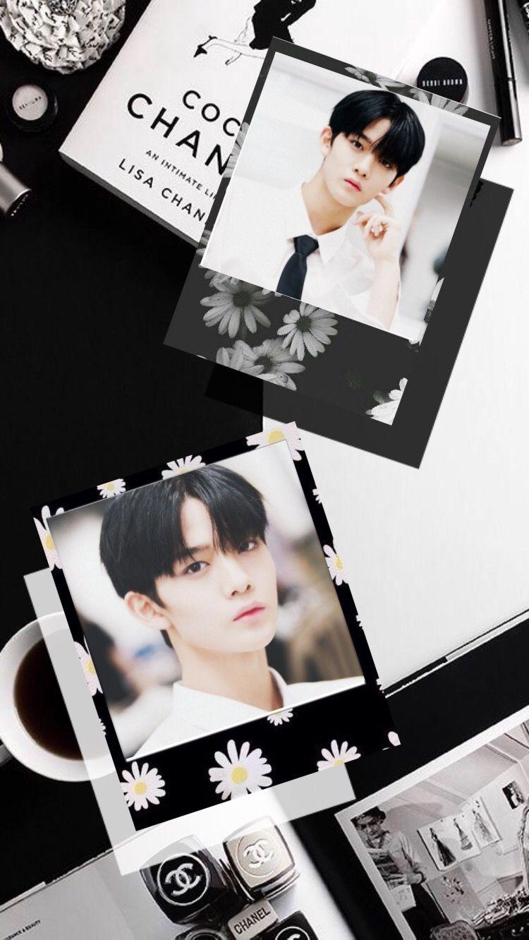 BaeJinyoung #YoonJisung #LaiGuanlin #ParkJihoon #KangDaniel