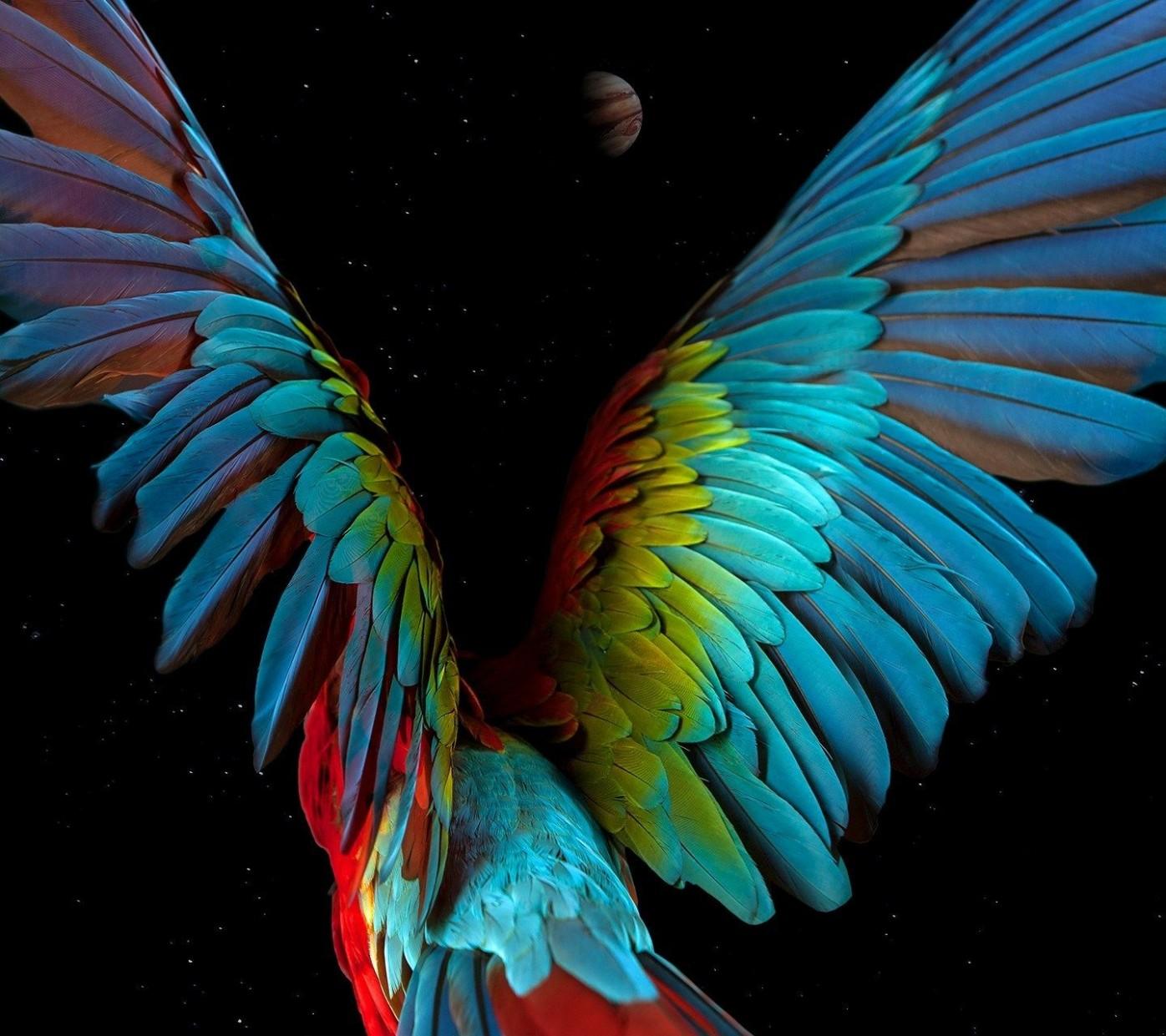 √ Why Wallpaper For Lg Phone Had Been So Popular