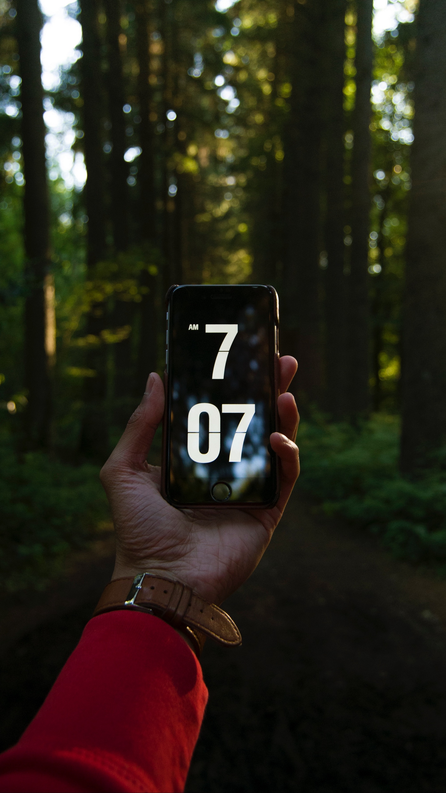 Download wallpaper 1440x2560 phone, hand, time, forest