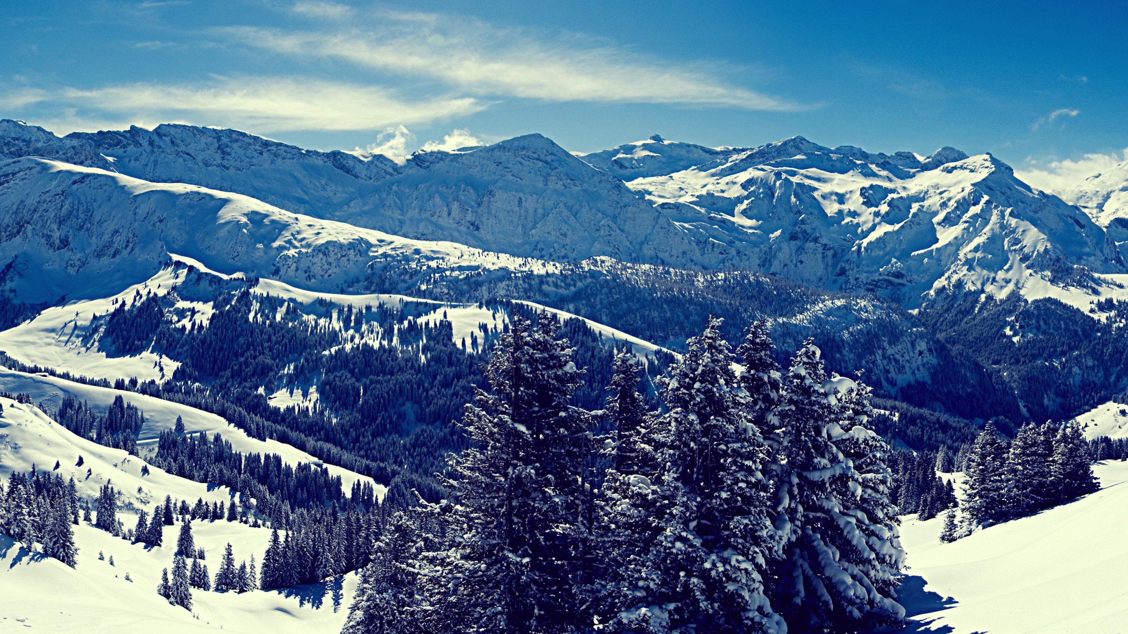Winter Snow Landscape Mountain Forest 4K Ultra HD Desktop Wallpaper