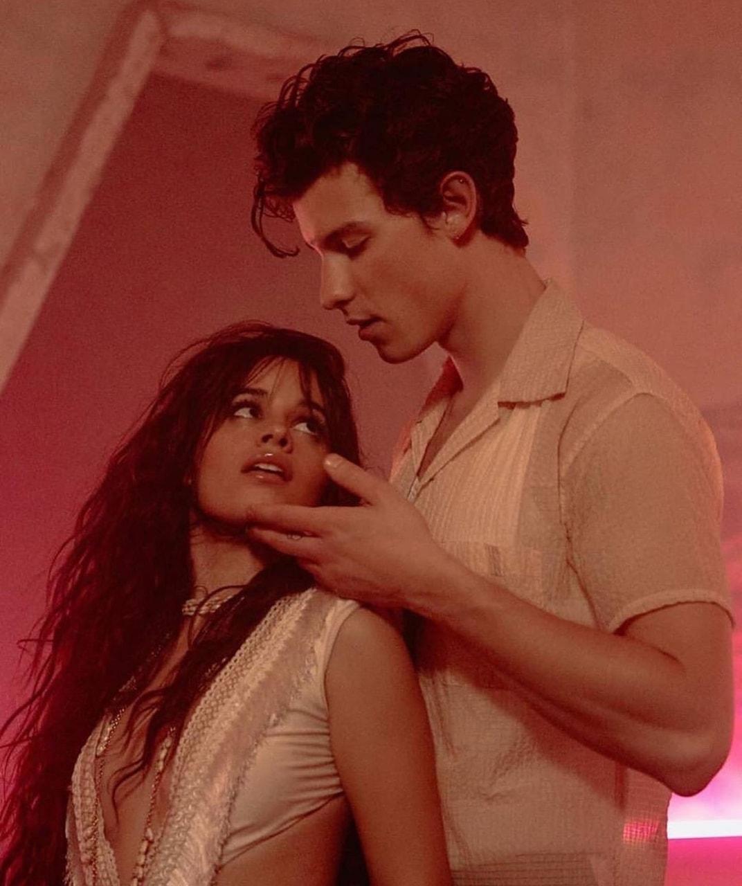 Shawn and Camila from Señorita