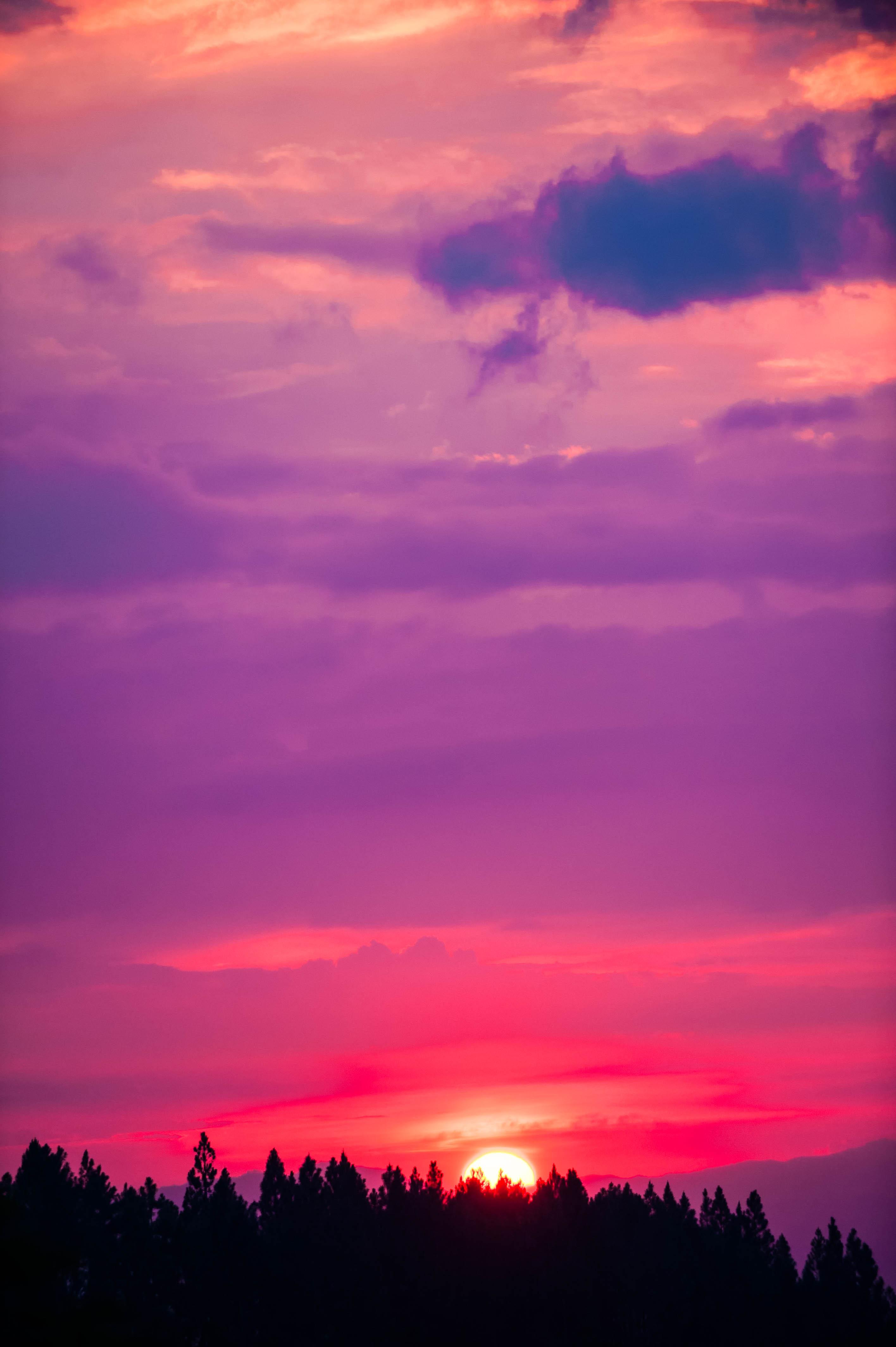 Download wallpaper 2832x4256 sunset, sky, pink, trees, sun