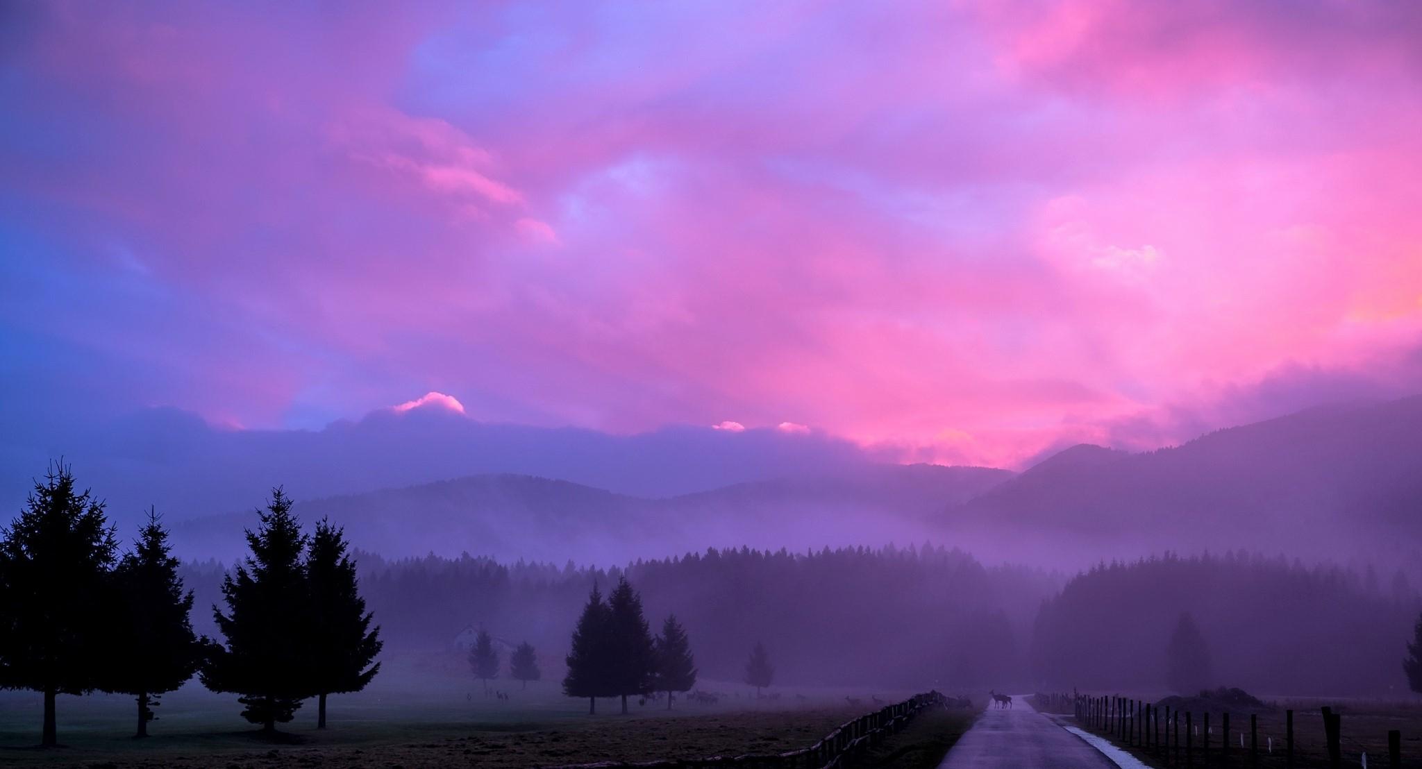 Misty Pink Sunset HD Wallpaper. Background Image