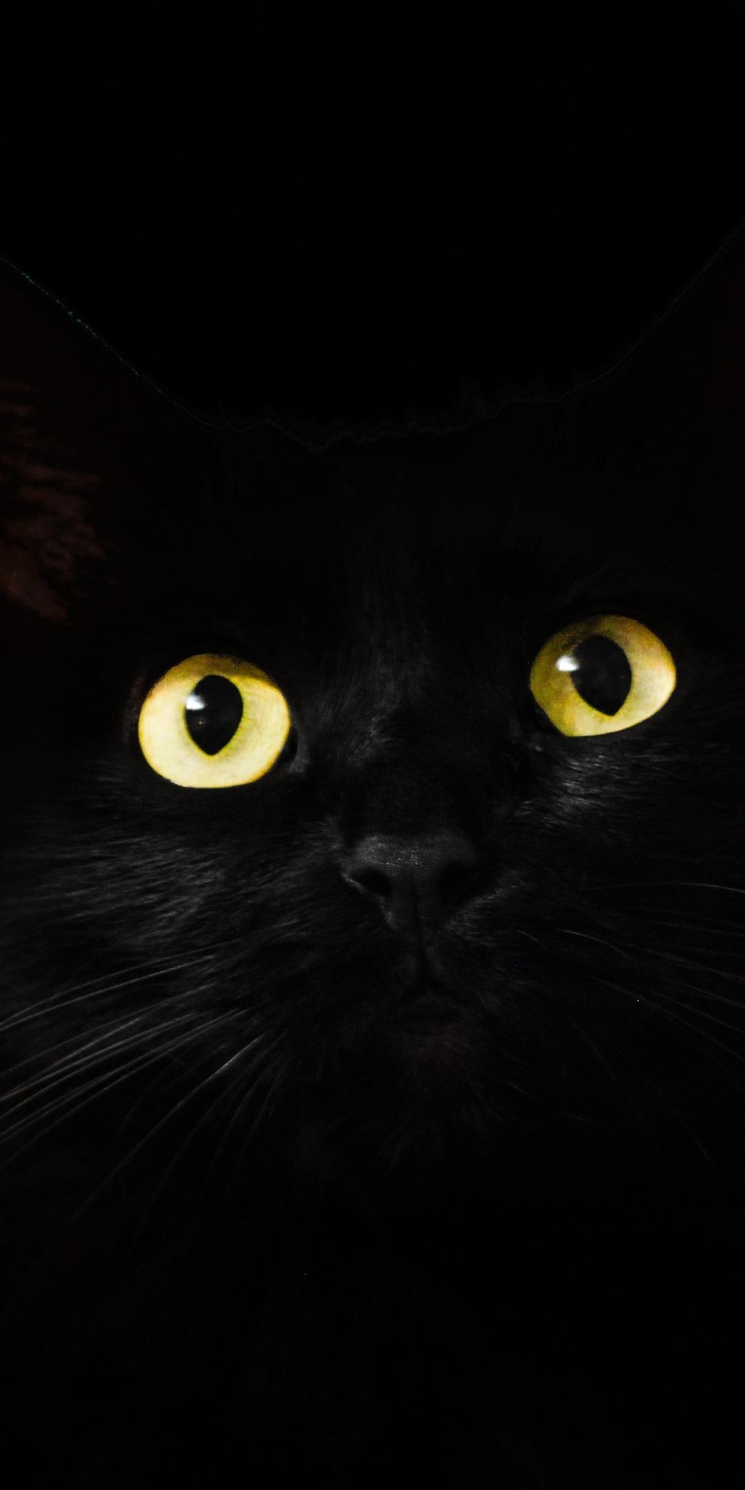 Black Cat Eyes Dark 5k One Plus 5T, Honor 7x, Honor