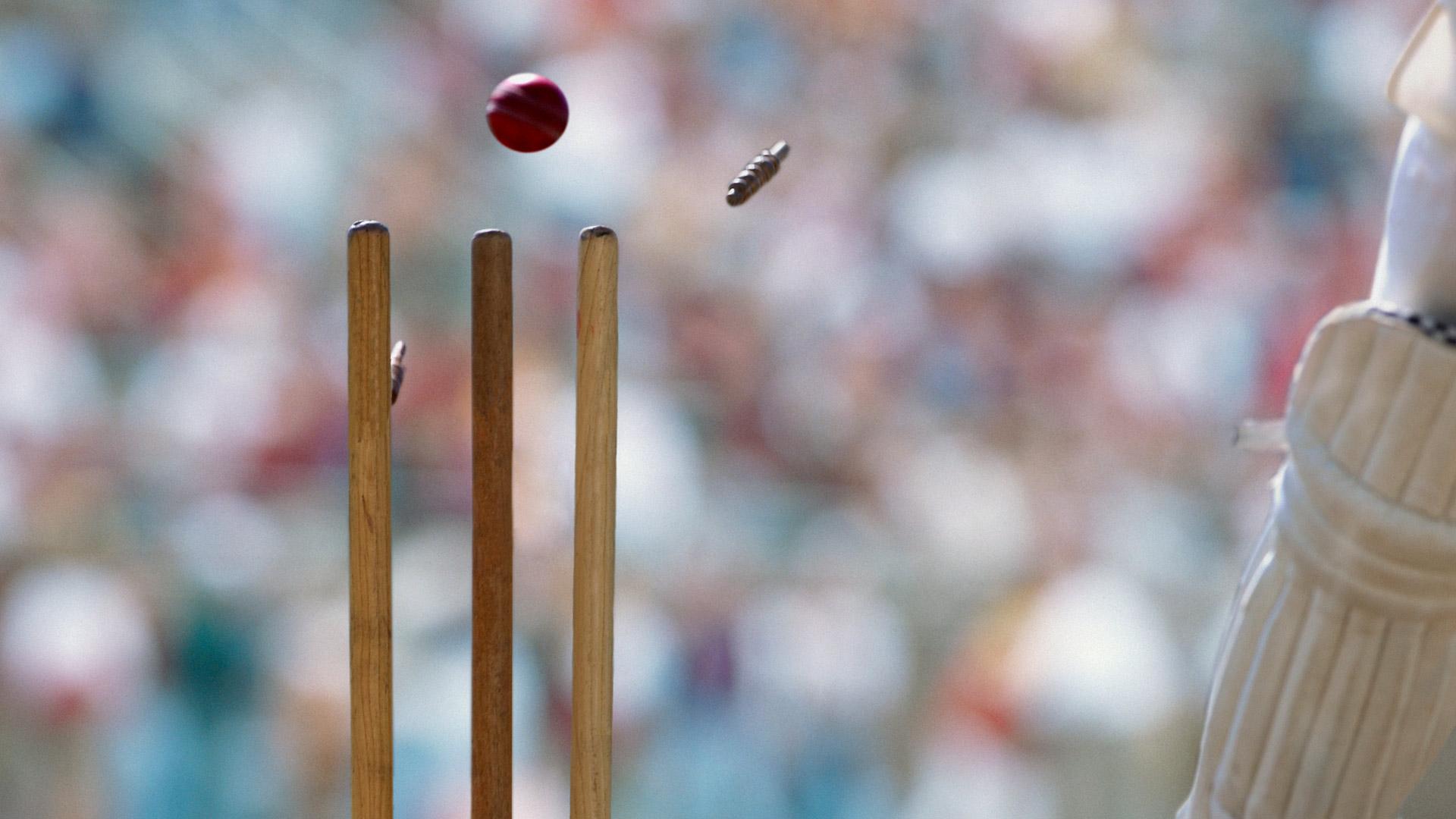 Photo) Dale Steyn flies into bowl at New Zealand | World cricket, England  cricket team, Cricket books