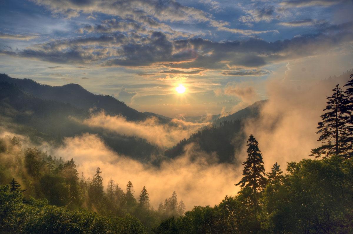 Best Photo Opportunities in the Great Smoky Mountains National Park