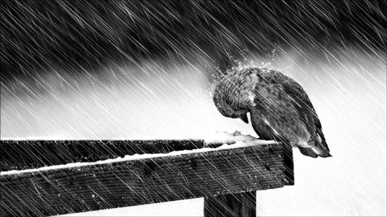 Depression sad mood sorrow dark people love winter rain