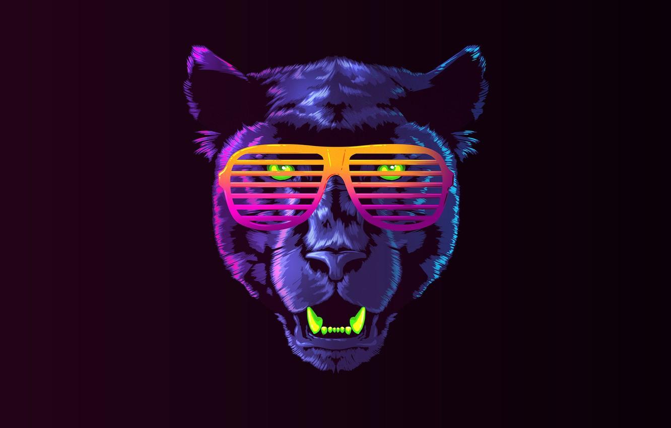 Wallpaper Color, Minimalism, Music, Cat, Retro, Glasses, Panther, Background, Face, 80s, Neon, James White, 80's, Synth, Retrowave, Synthwave image for desktop, section минимализм