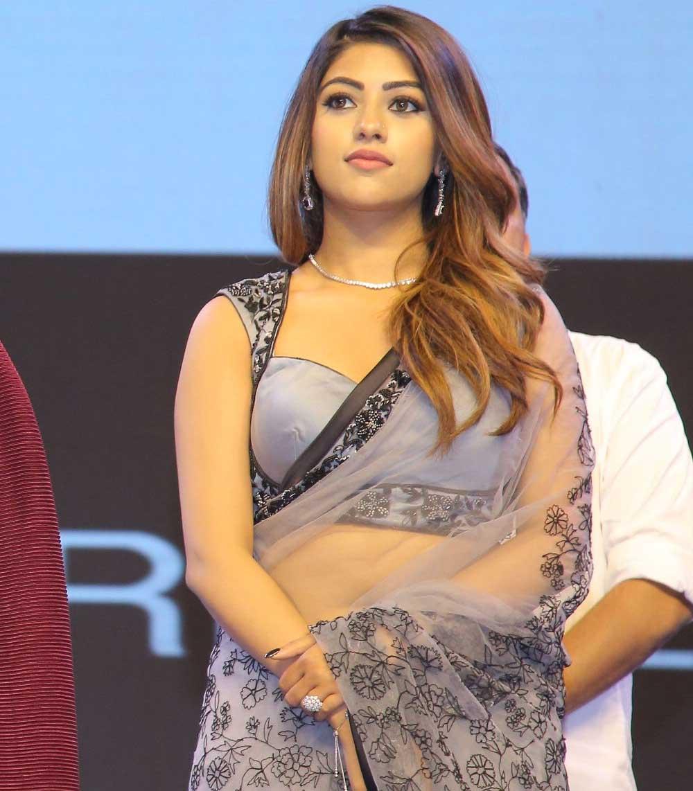 Anu Emmanuel Stunning Look Stills On Saree HD Free