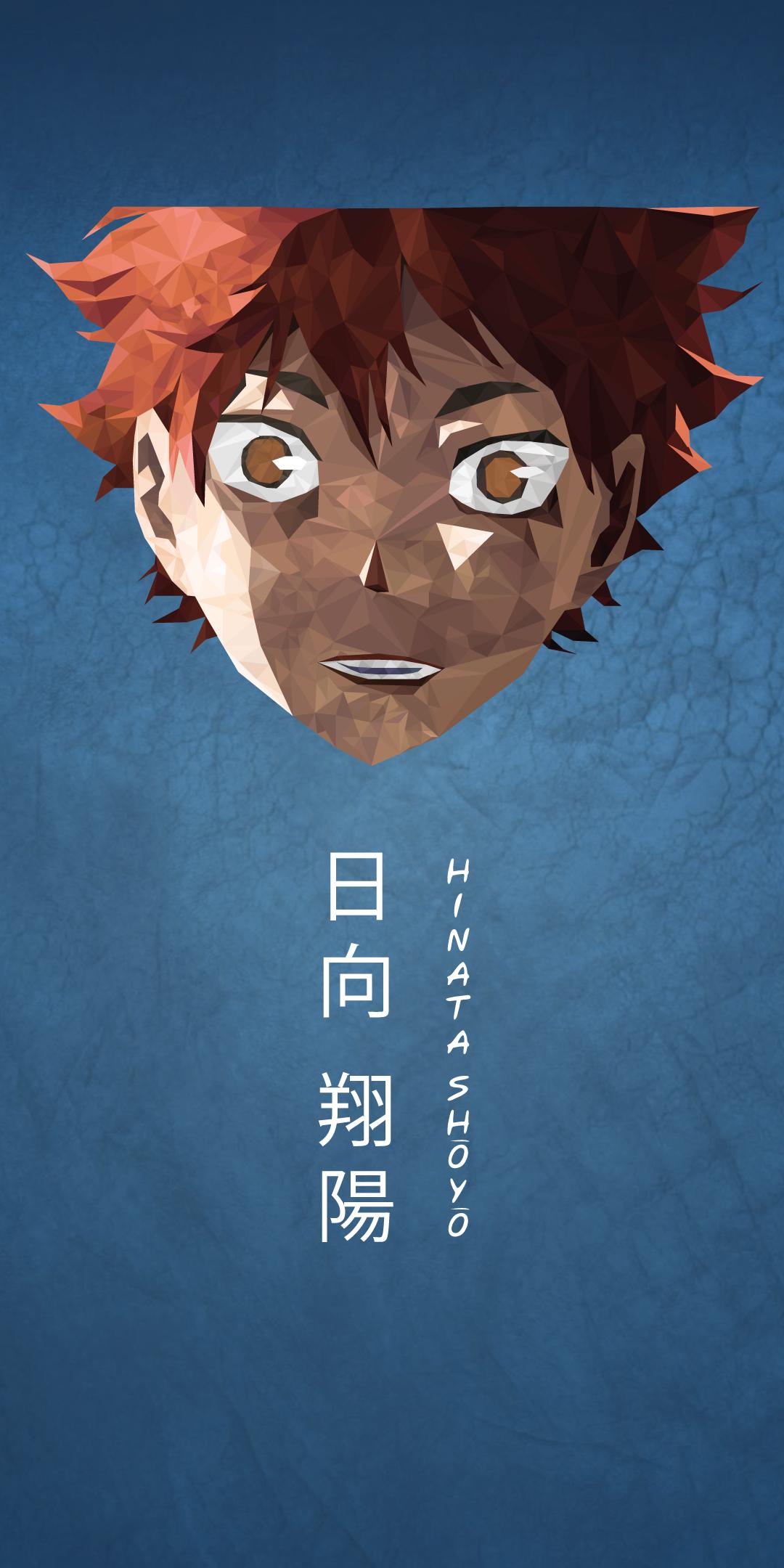 Geometric design of Hinata Shoyo