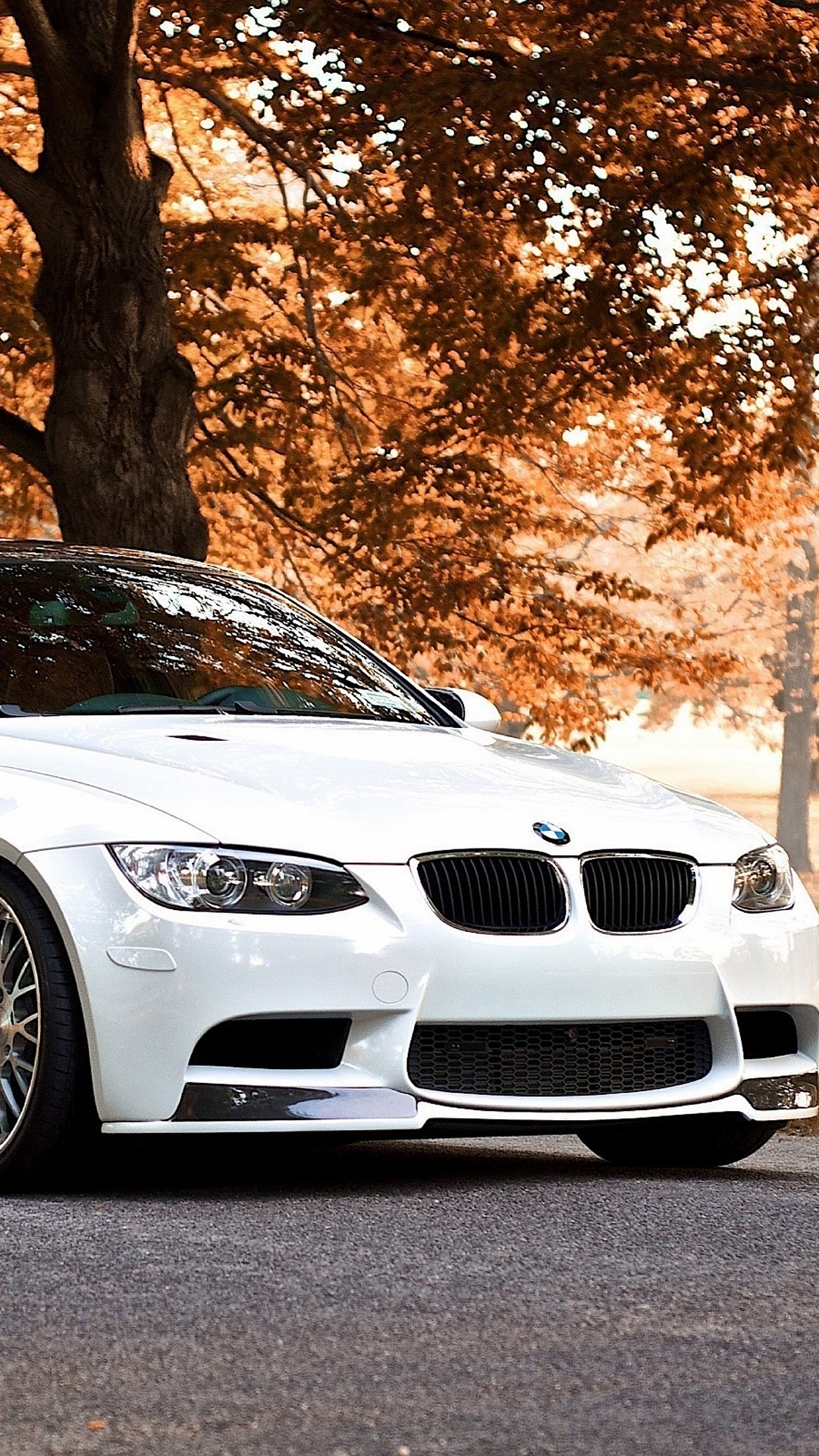 Bmw Car Wallpaper Hd Download