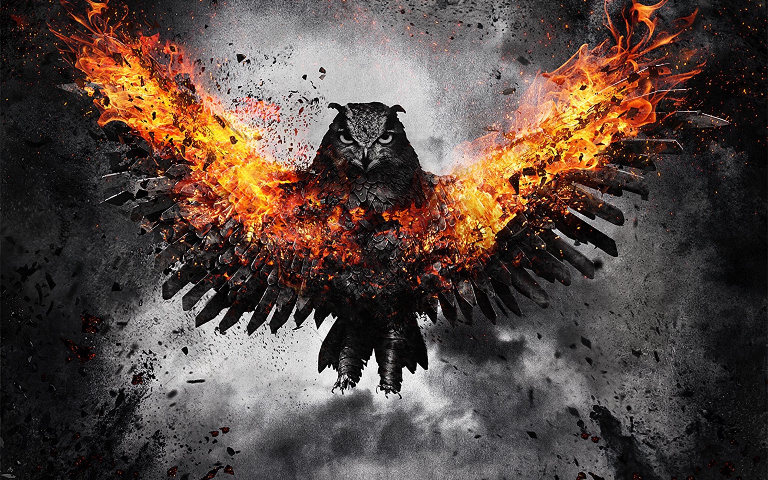 Download wallpaper 2560x1600 owl, bird, fire, wings, flap