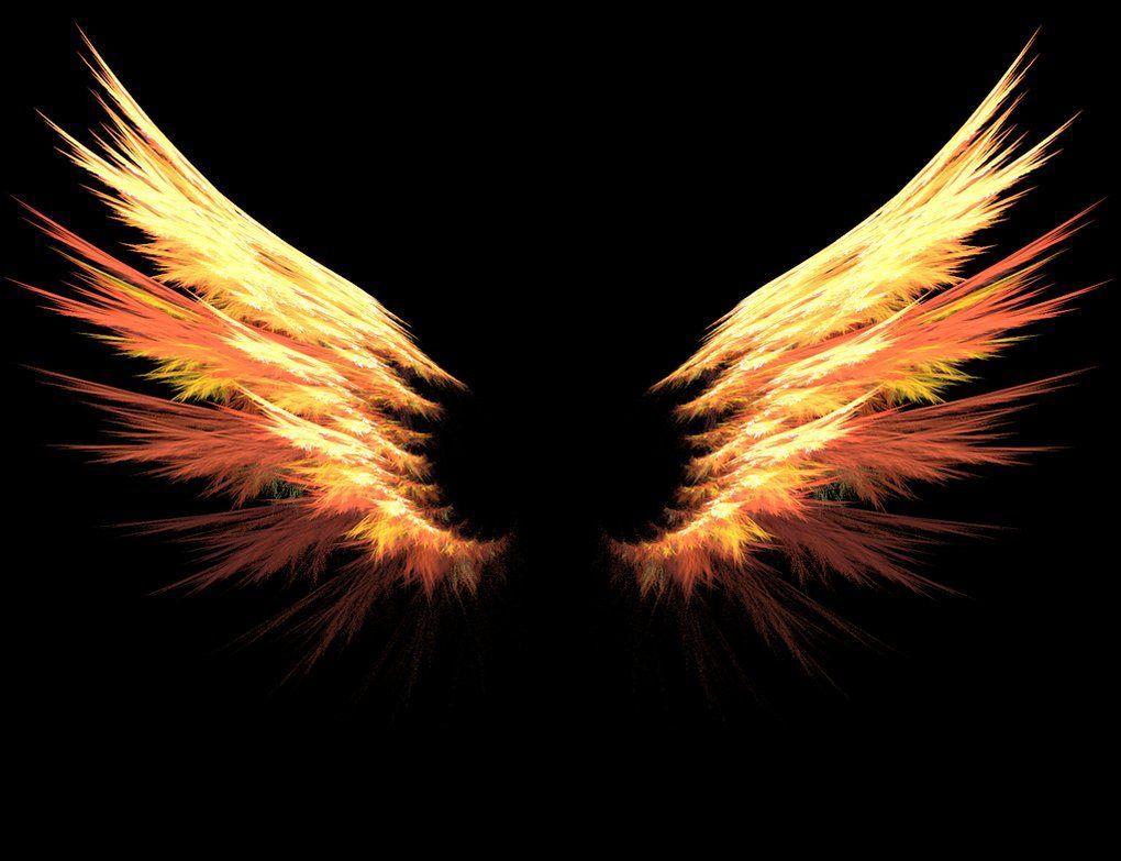 Fire Wings Wallpaper