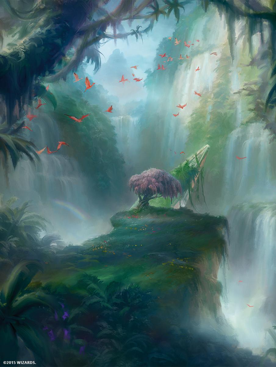 Misty Rainforest 160780_ Mobile Wallpaper