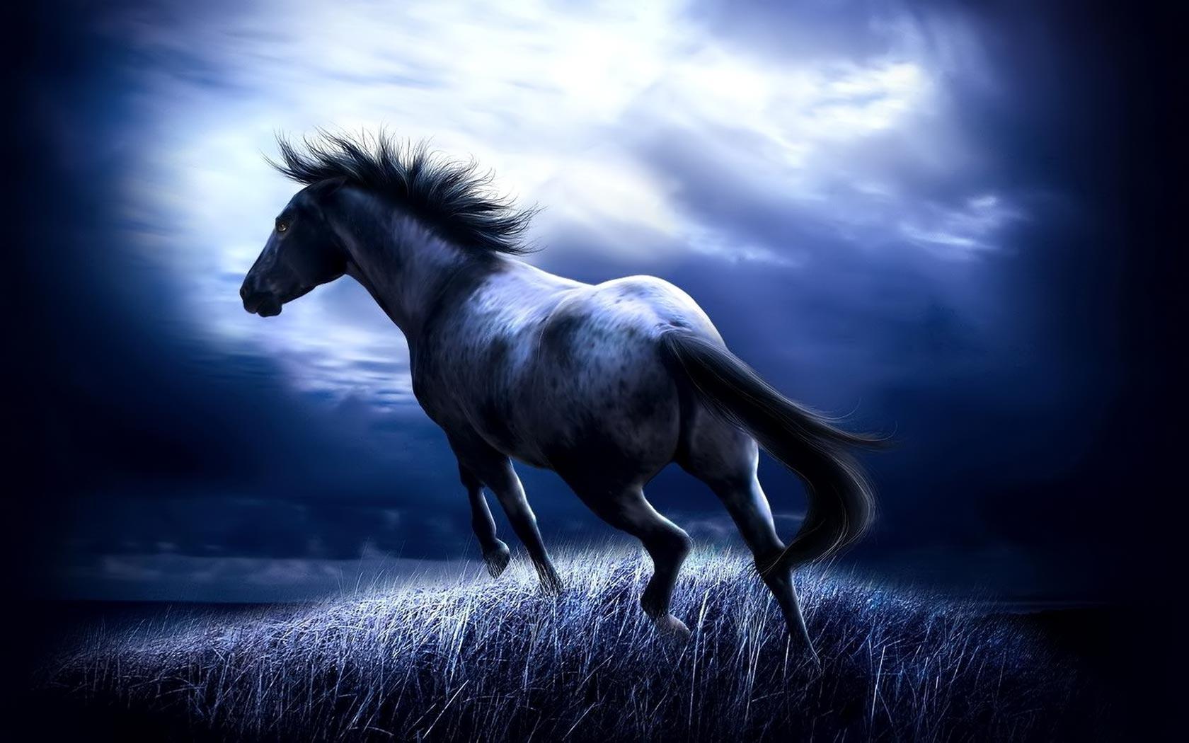 Horse Background For Computers