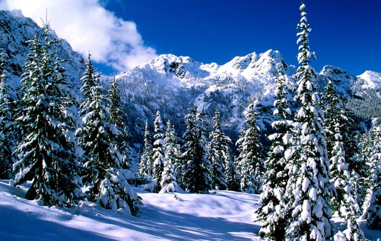 Mountain Snow Scene Photo Wallpaper