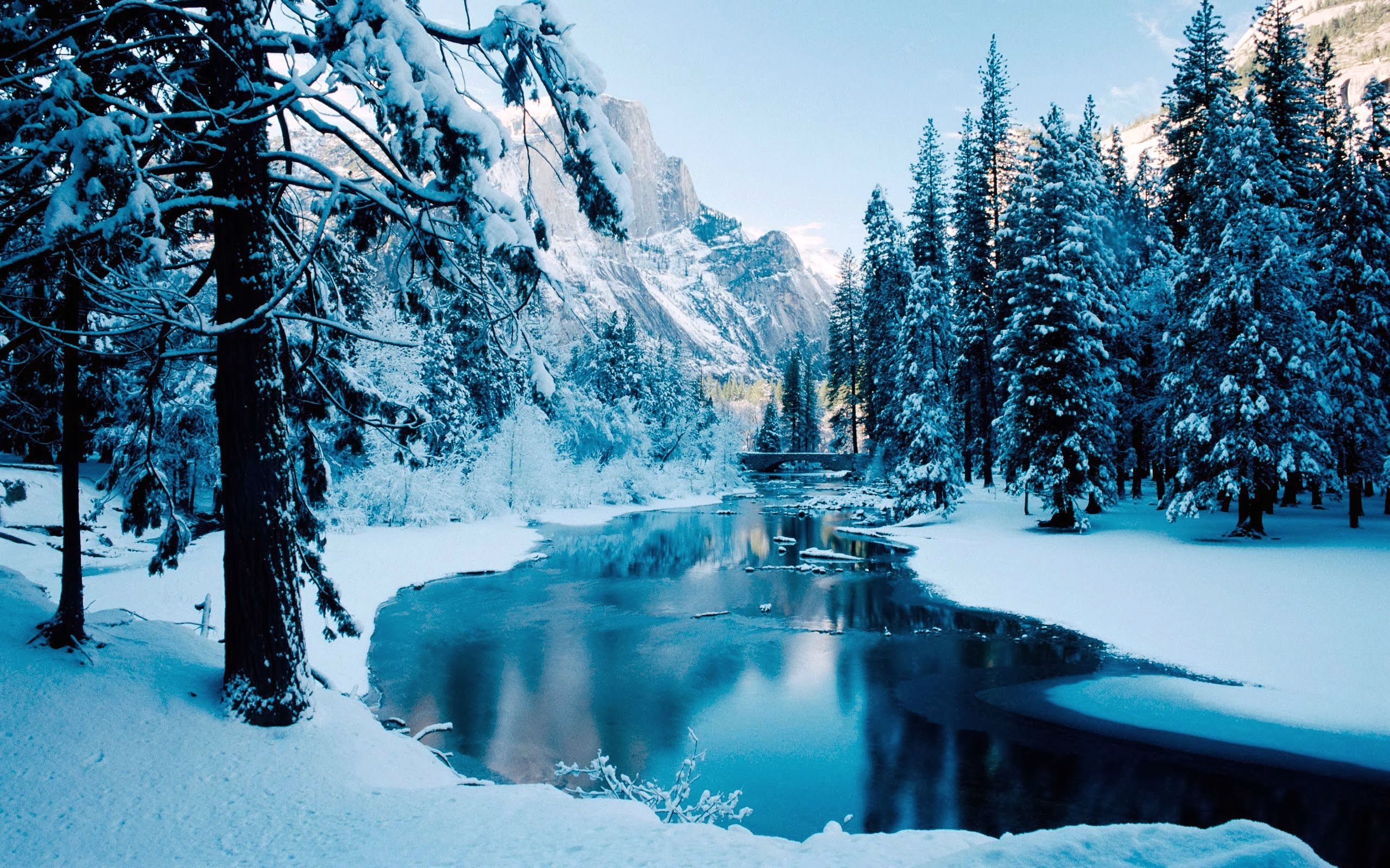 Winter, Snow, Forestcolourful, Reflection, River, High