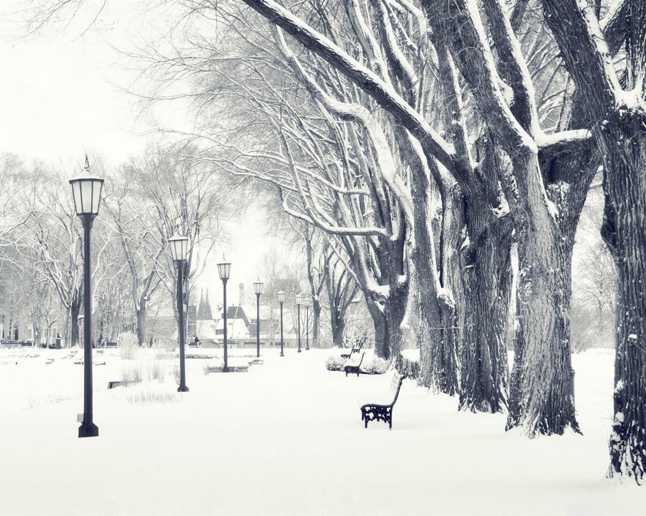 Winter And Snow Scenes Free Desktop Wallpaper