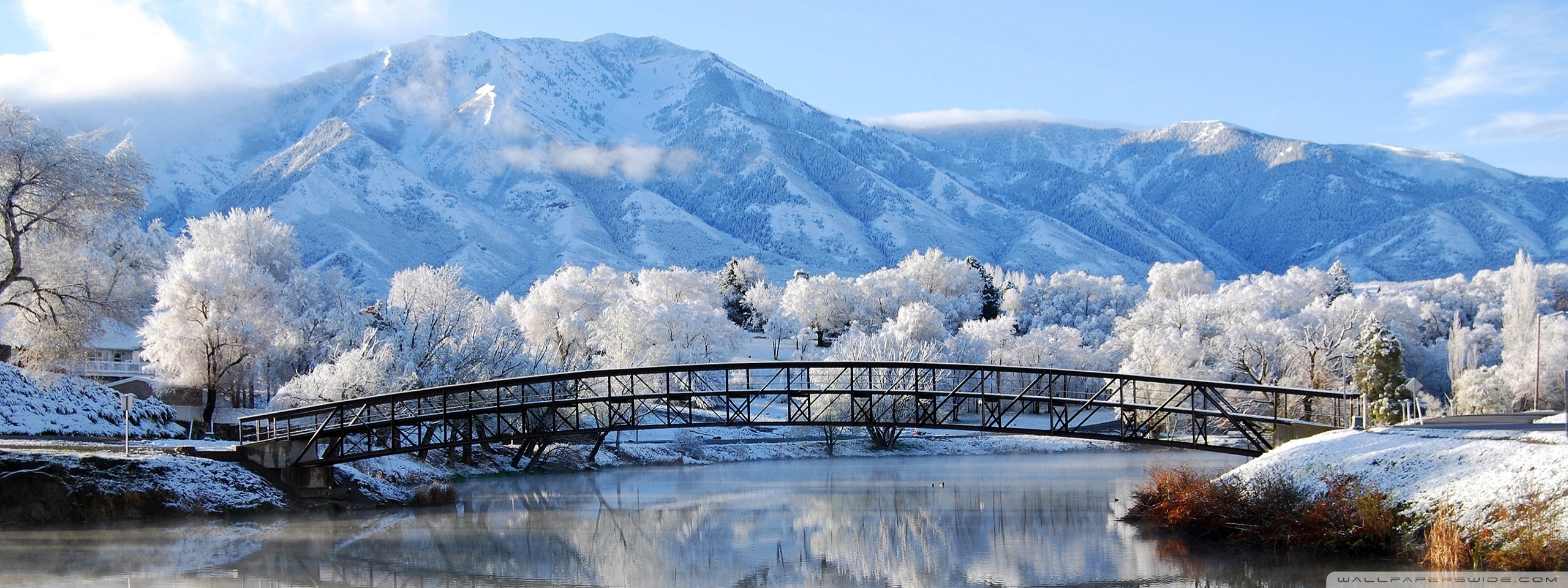 Beautiful Winter Scene ❤ 4K HD Desktop Wallpapers for 4K
