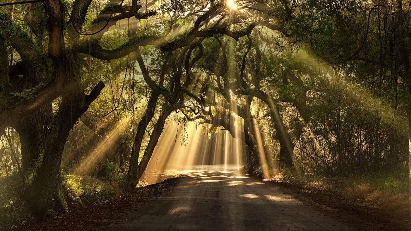 South Carolina Wallpapers - Wallpaper Cave