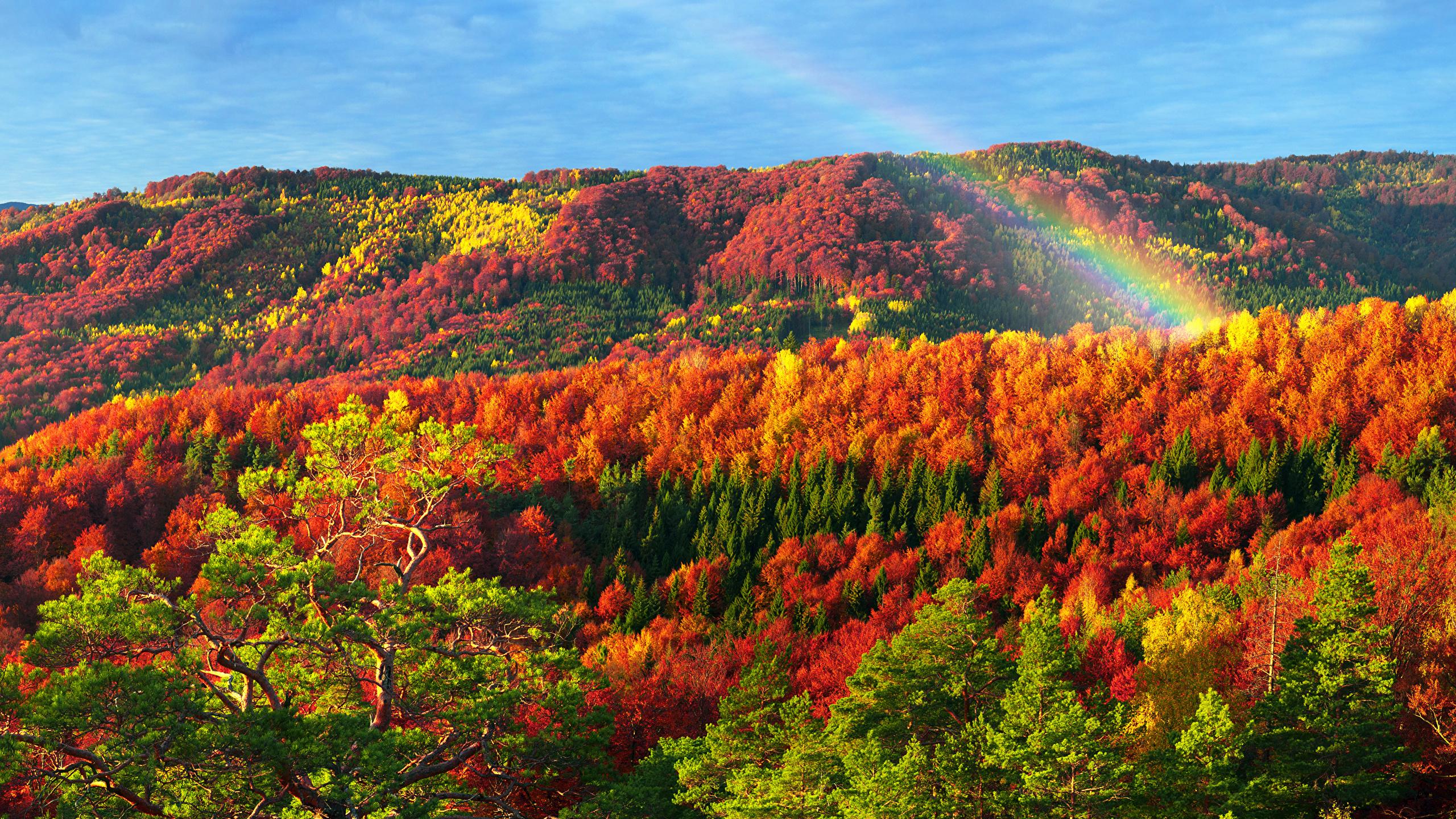 Image Zakarpattia Carpathians Ukraine Autumn Nature 2560x1440