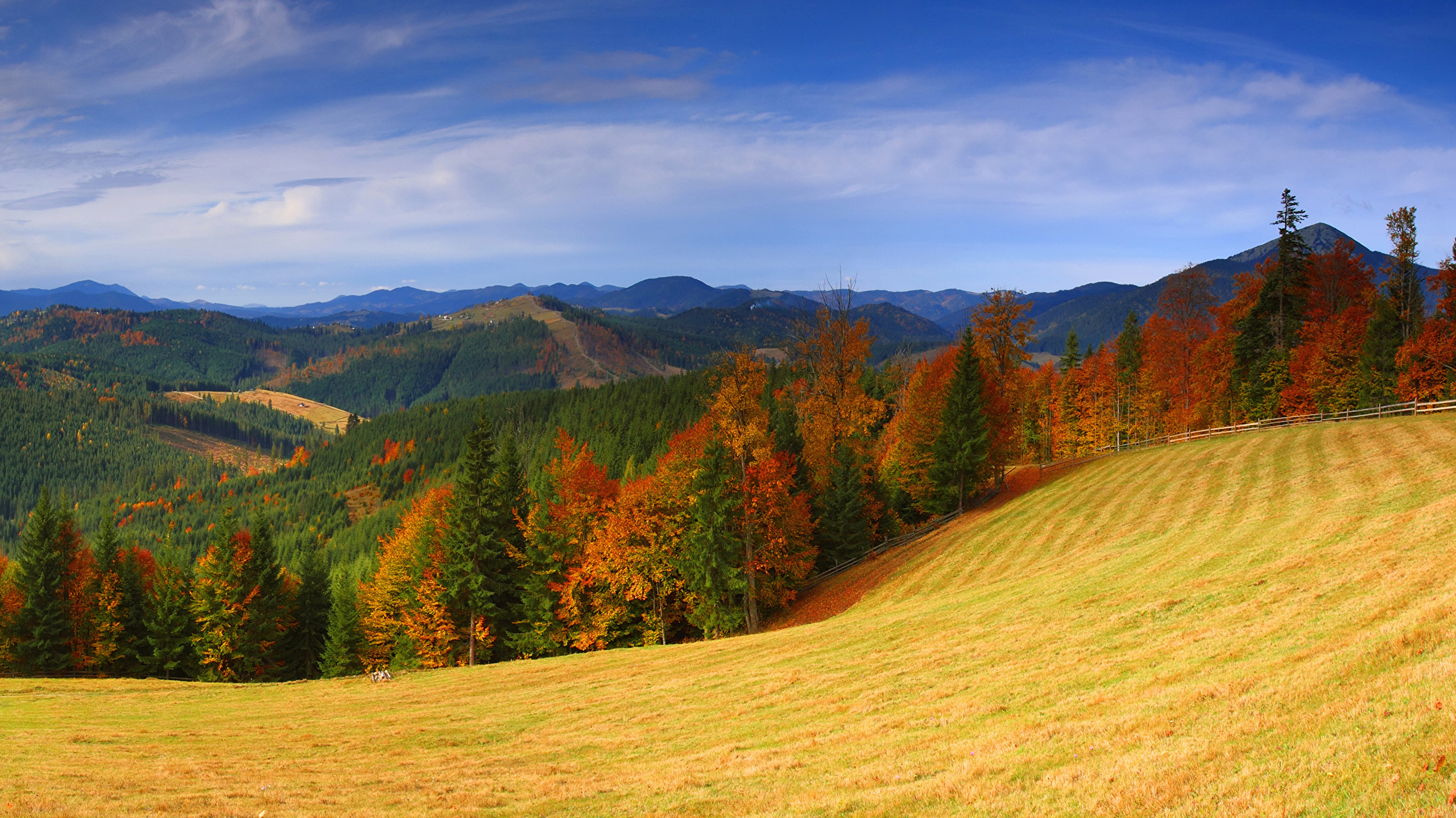 Ukraine Autumn Wallpapers - Wallpaper Cave