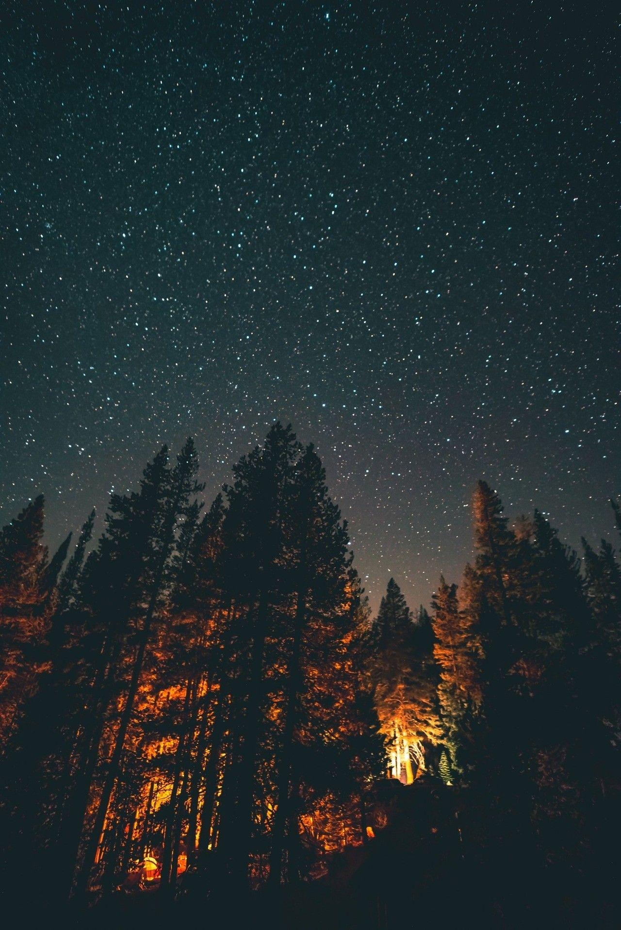 Into the woods under a sky full of stars