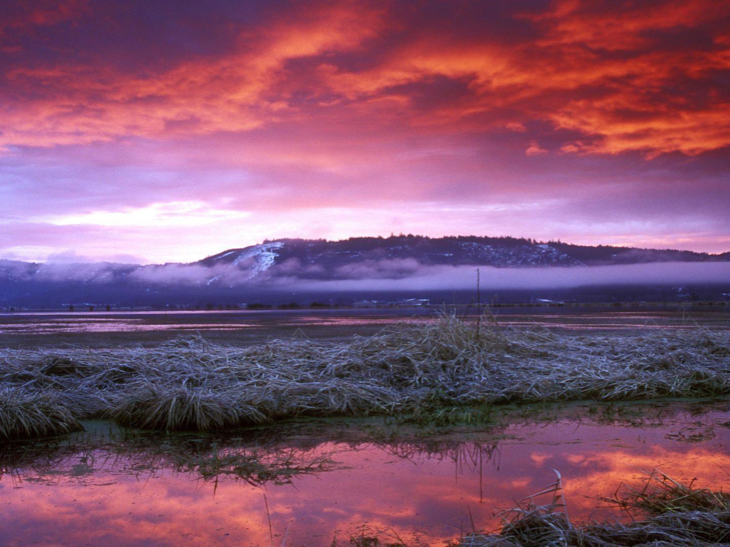 Colors Of Winter HD desktop wallpaper, Widescreen, High