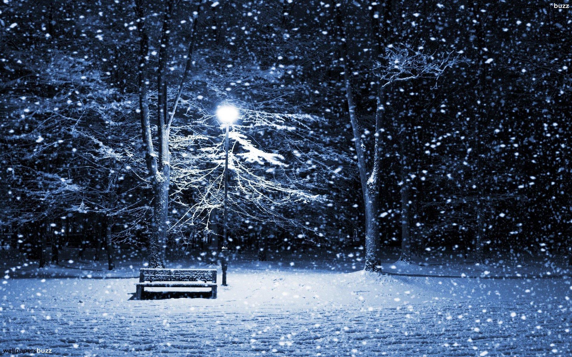 Winter scene HD Wallpaper