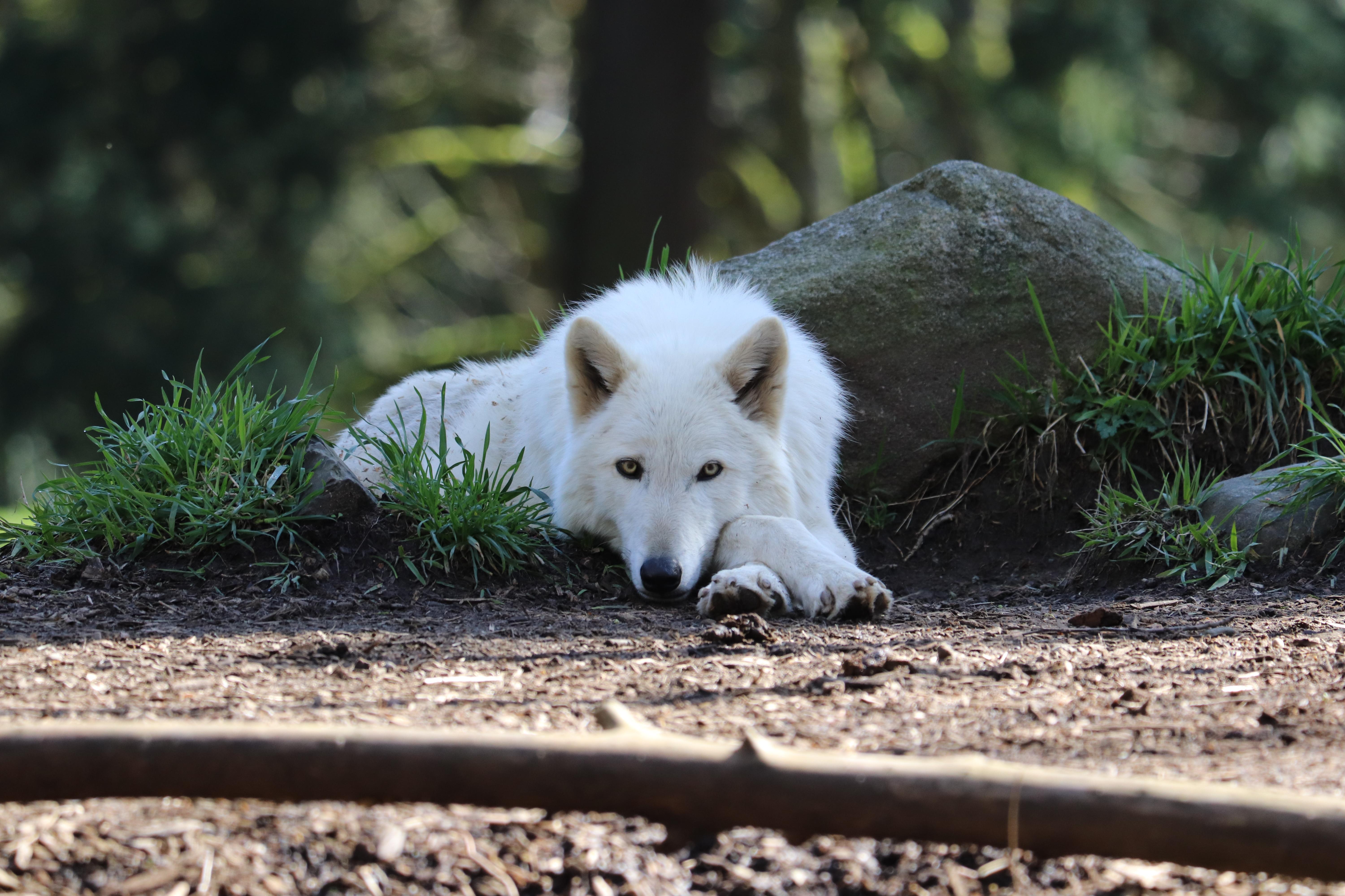 Canon EOS 77D / 9000D sample gallery: Digital Photography Review