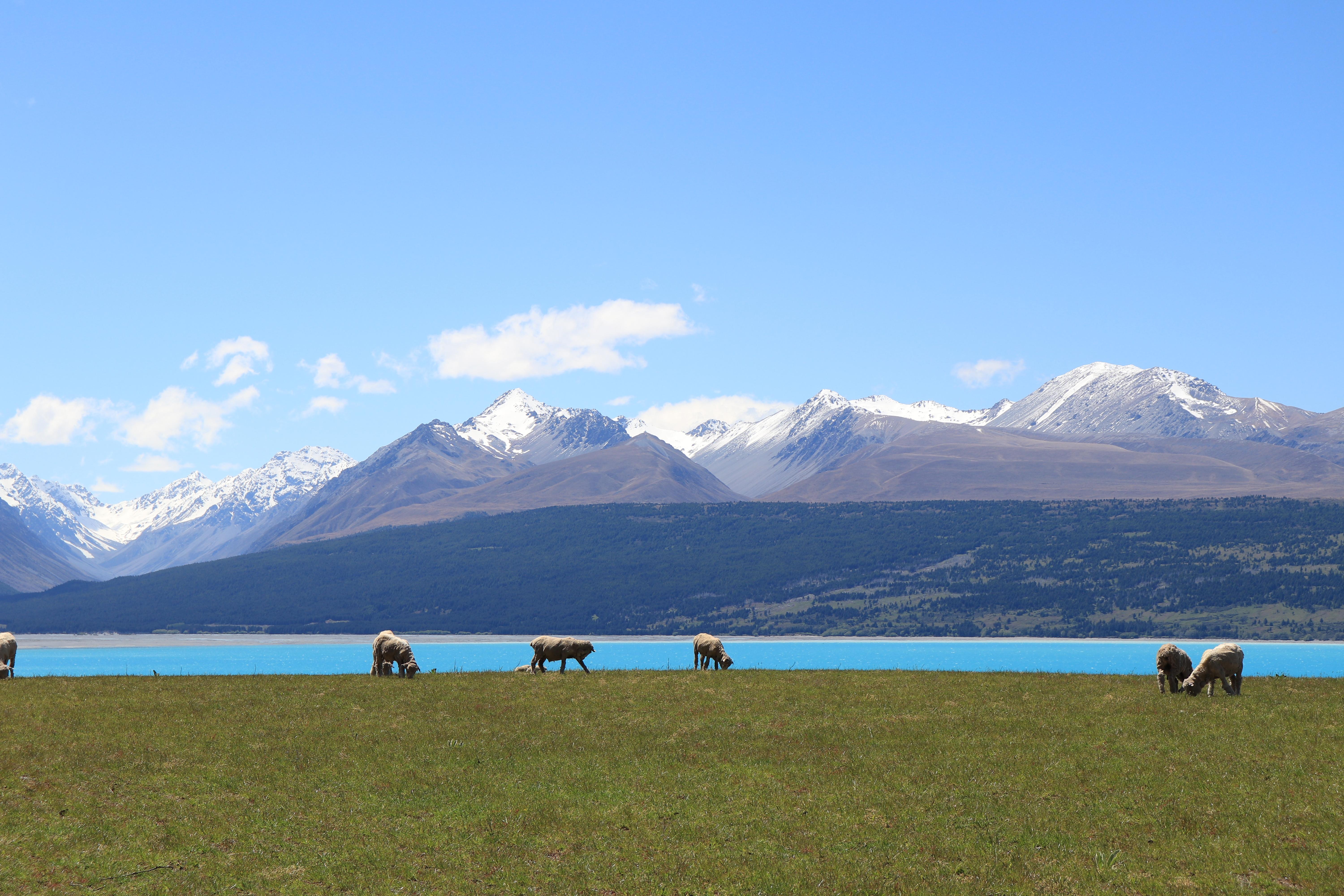 Canon：EOS 77D ｜Sample Image & Movies