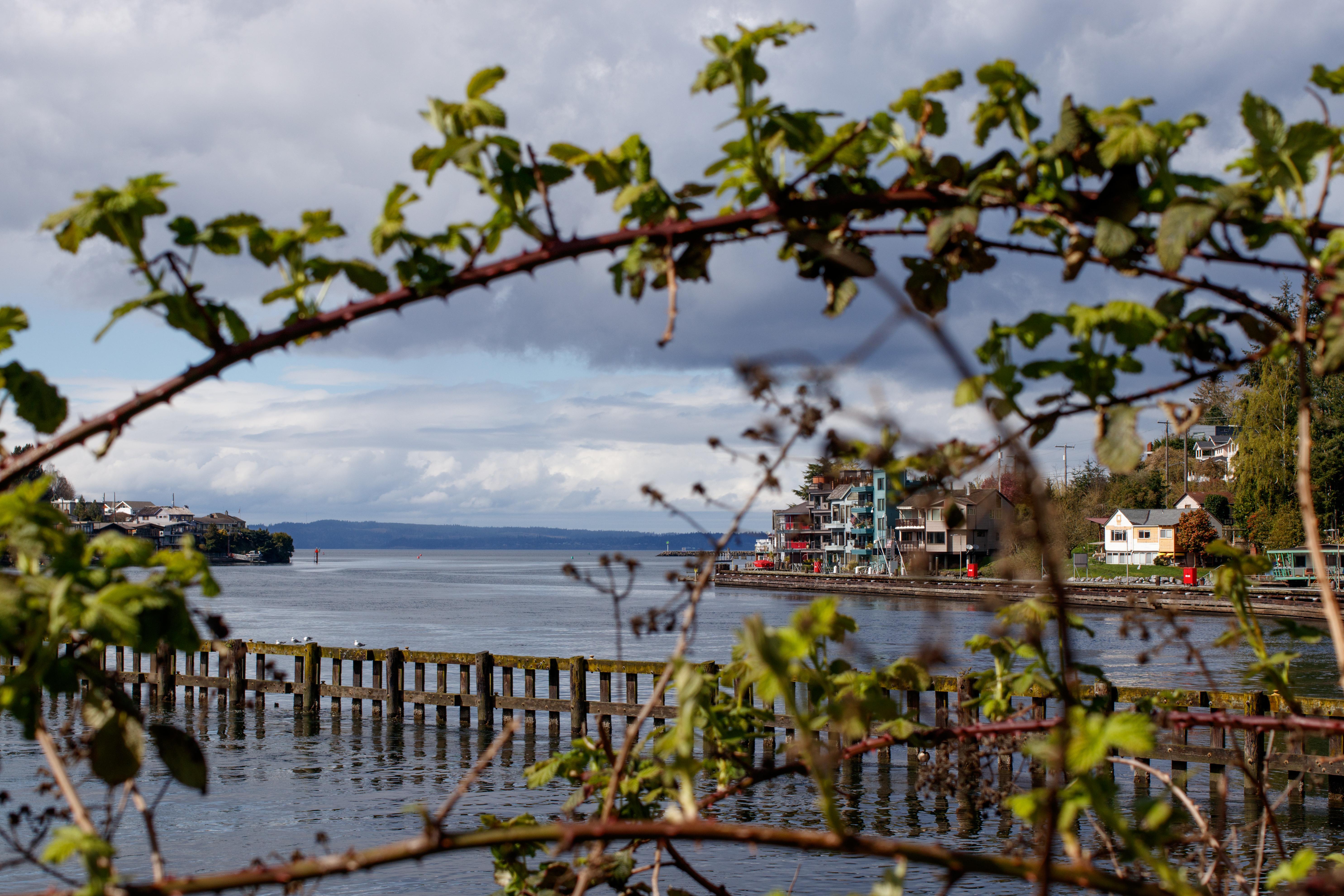 Canon EOS 77D Review: Digital Photography Review