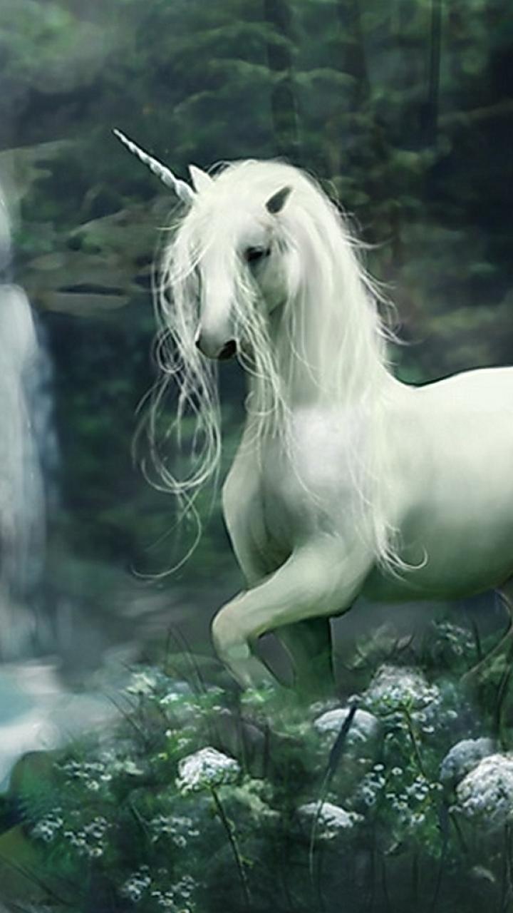 Fantasy Unicorn (720x1280) Wallpaper