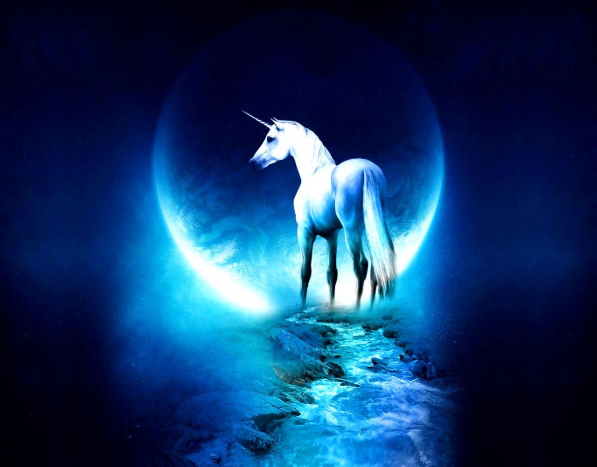 Fantasy Unicorn Wallpaper 2015 HD