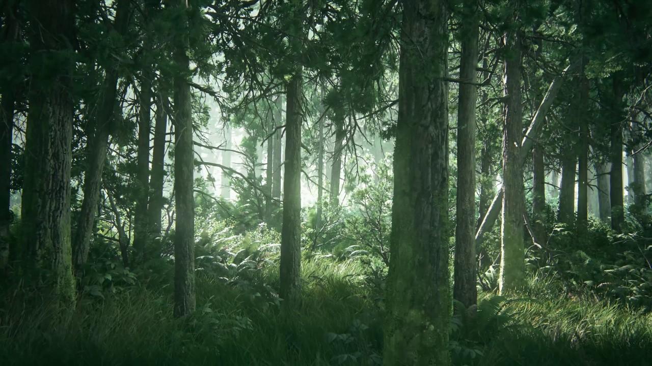 TLOU2 Beautiful Forest HD Desktop Wallpaper (Using Wallpaper Engine w/ Download)