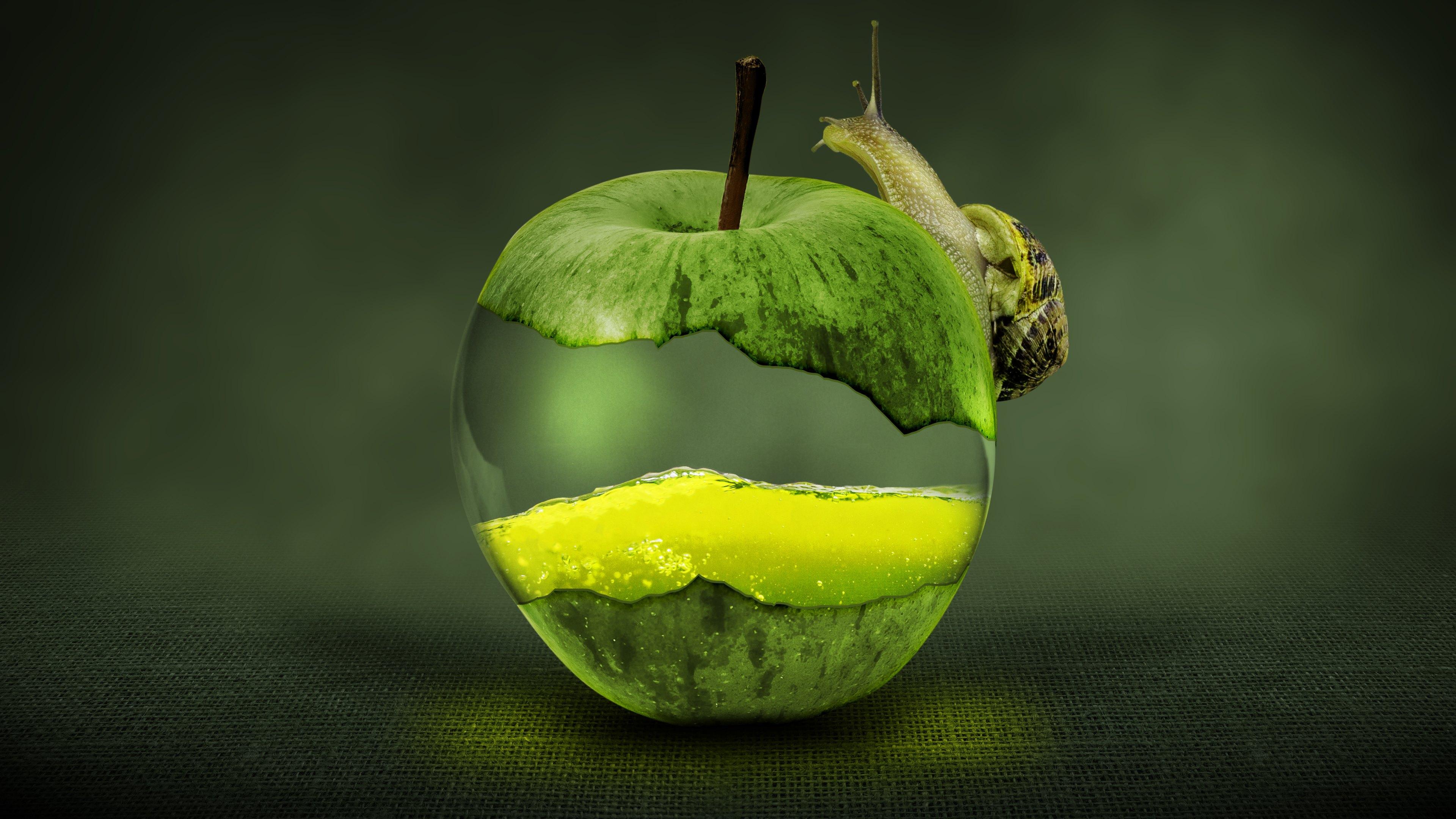 Snail Green Apple Digital Art Wallpaper and Free