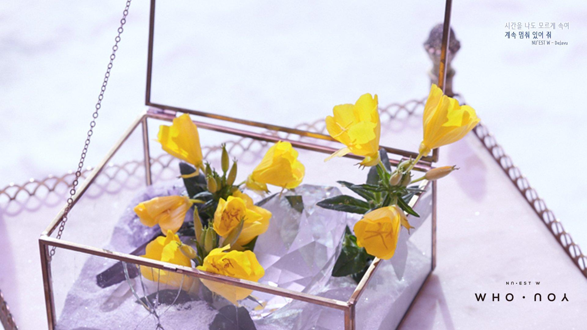 NU'EST - #후유를_못_잊은_러브에게 NU'EST W