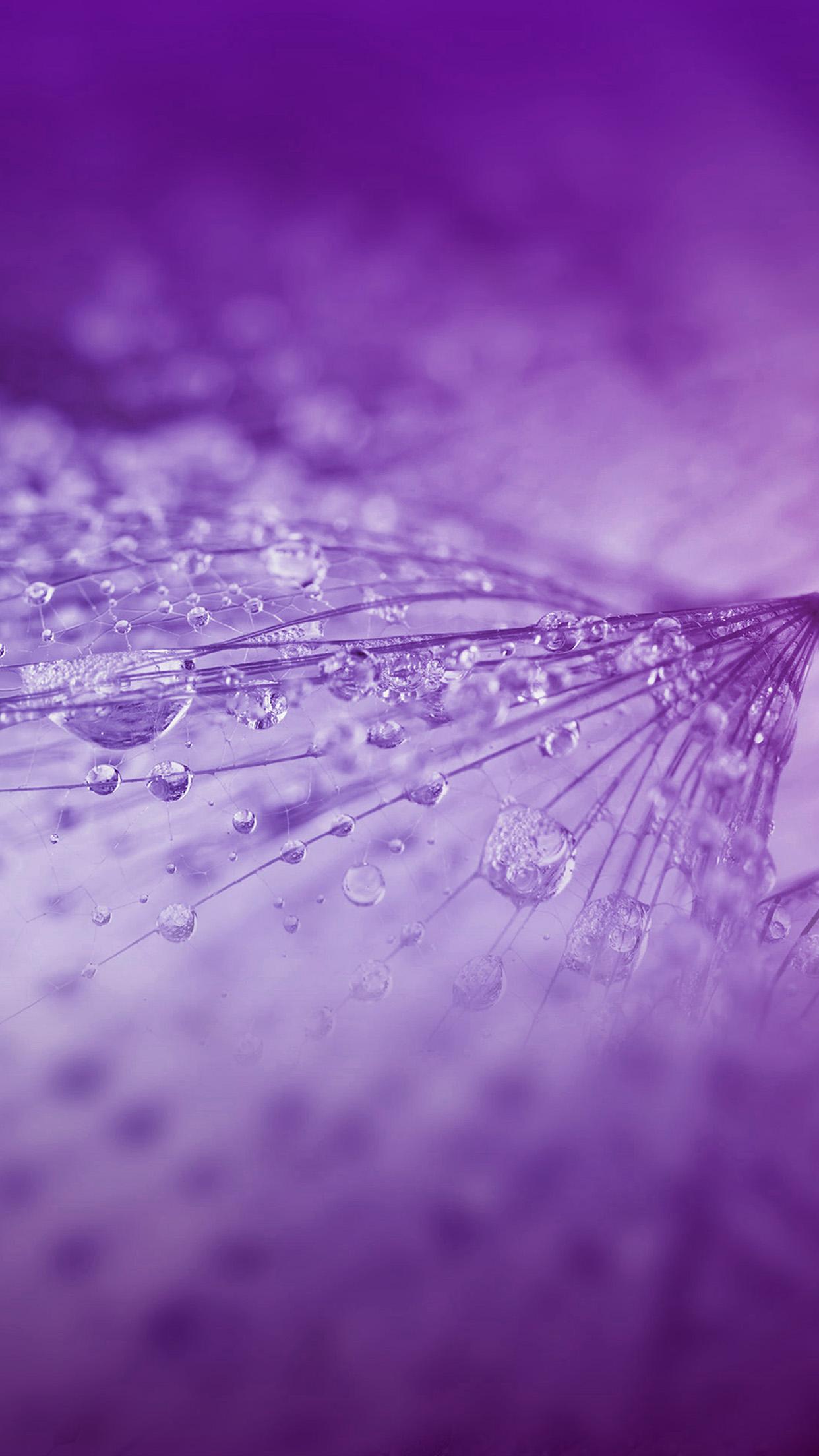 Nature Rain Drop Flower Purple Pattern Android wallpaper HD wallpaper