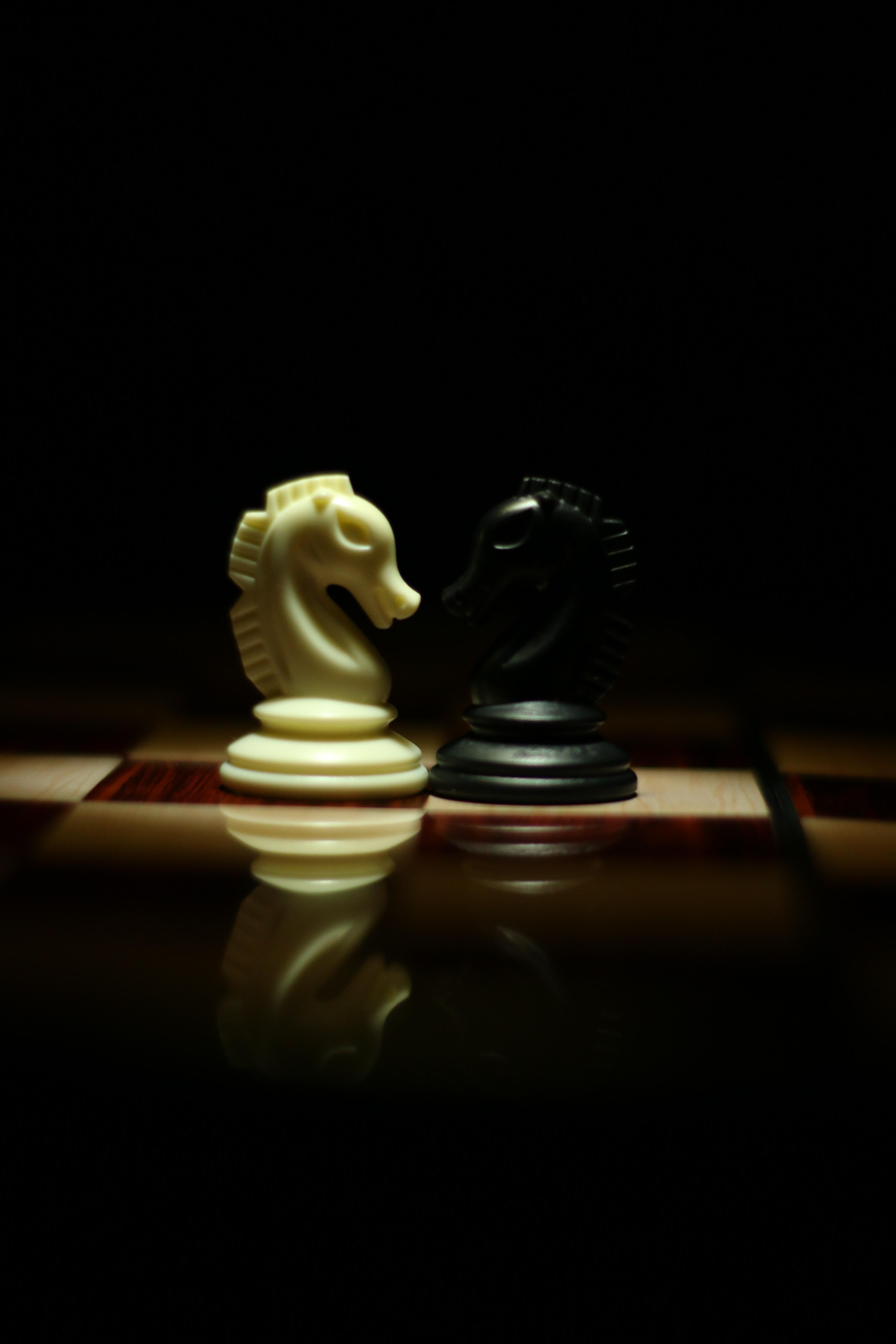 Two White and Black Chess Knights Facing Each Other on Chess