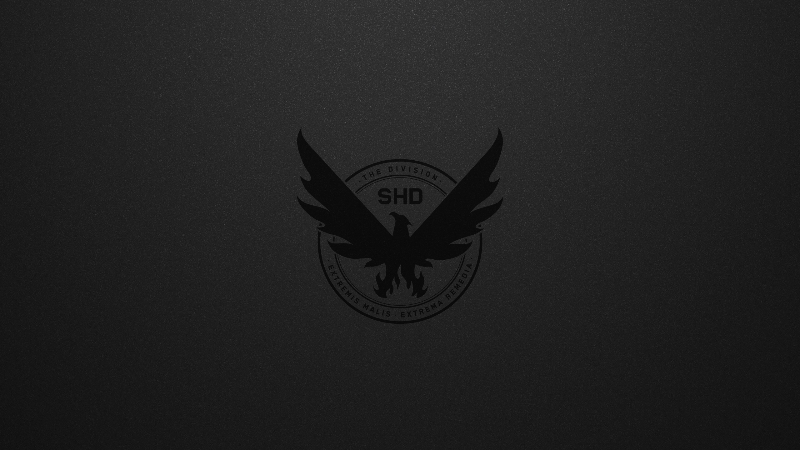 Wallpaper of Tom Clancy's The Division Division 2 Pheonix