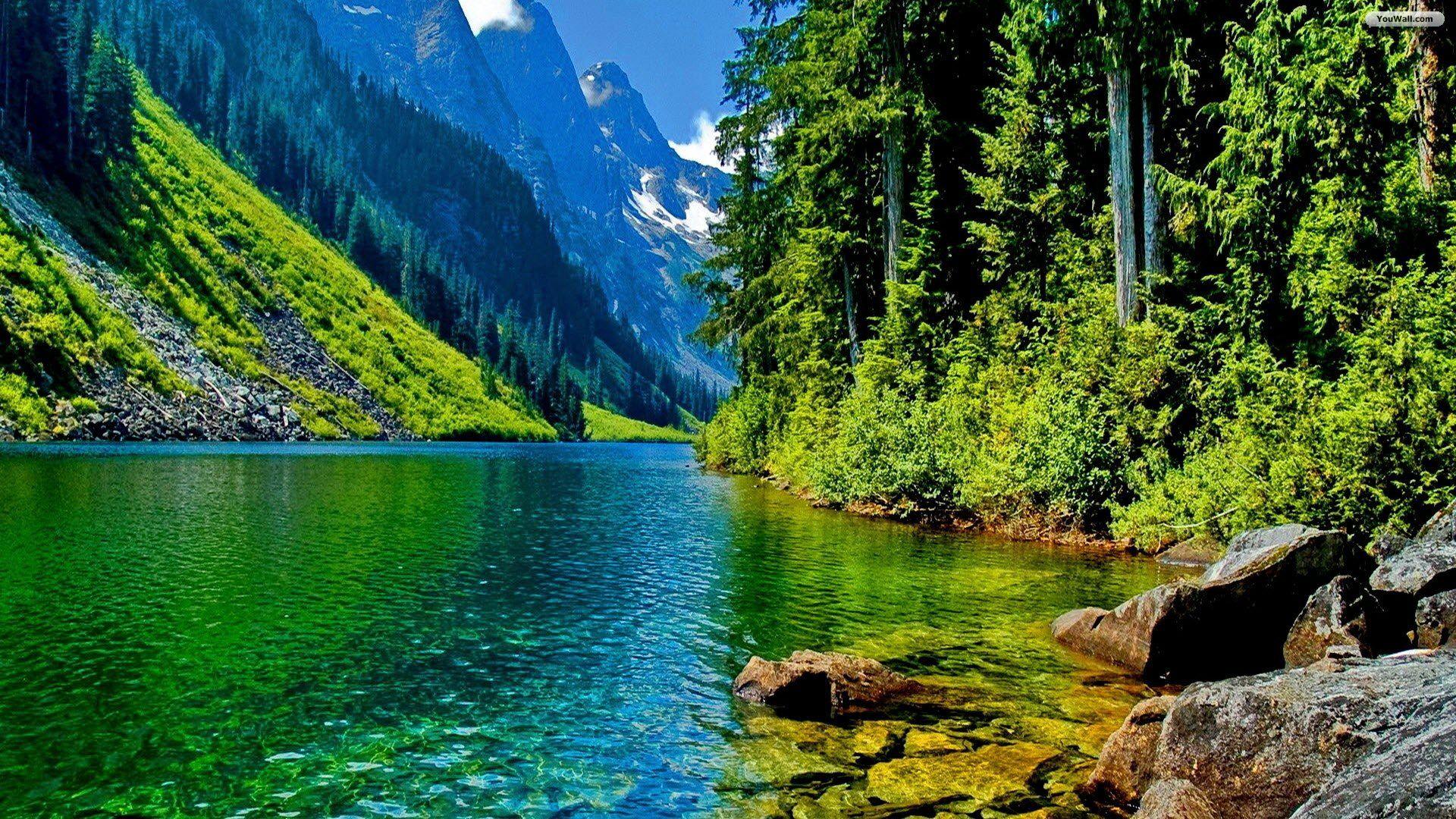 River Wallpaper