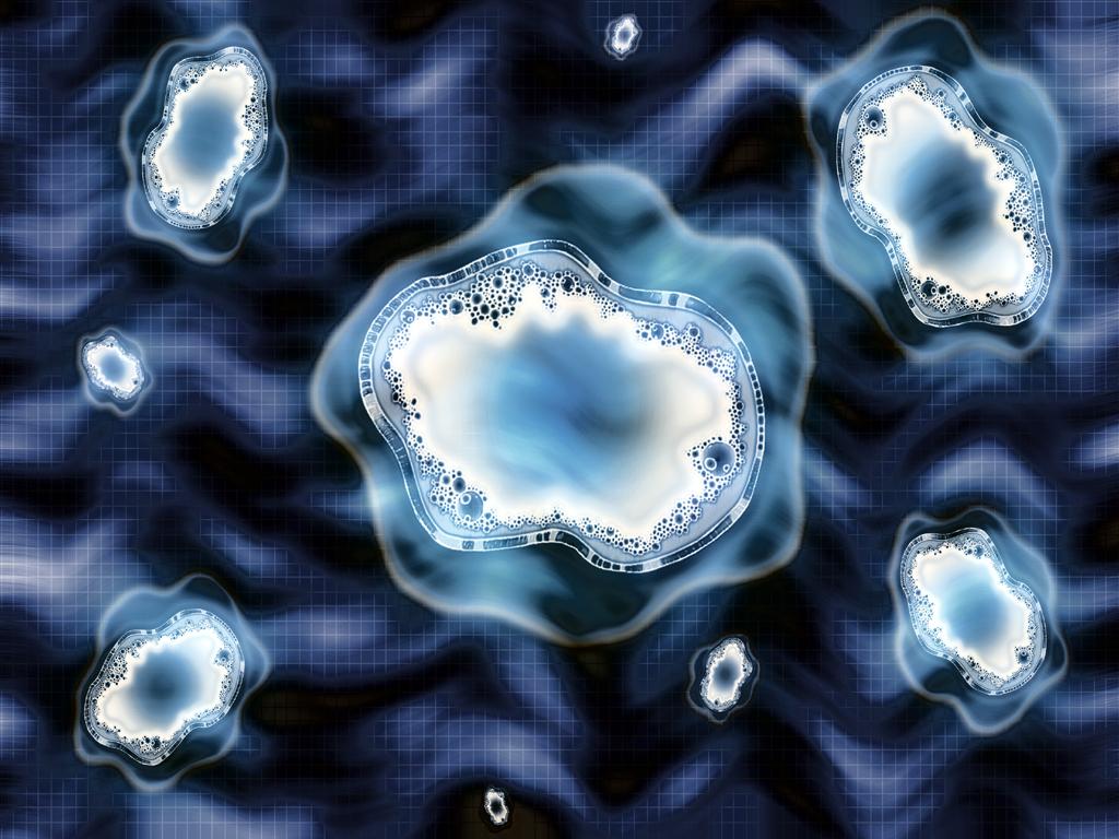 Amoeba Wallpapers - Wallpaper Cave