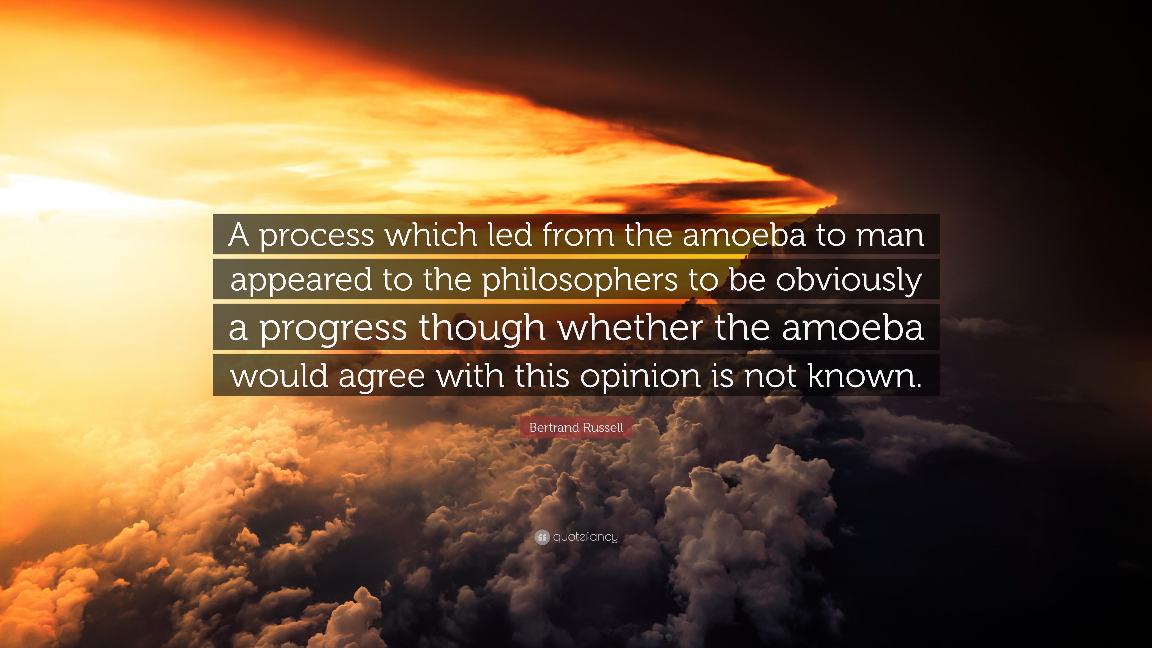 Bertrand Russell Quote: “A process which led from the amoeba