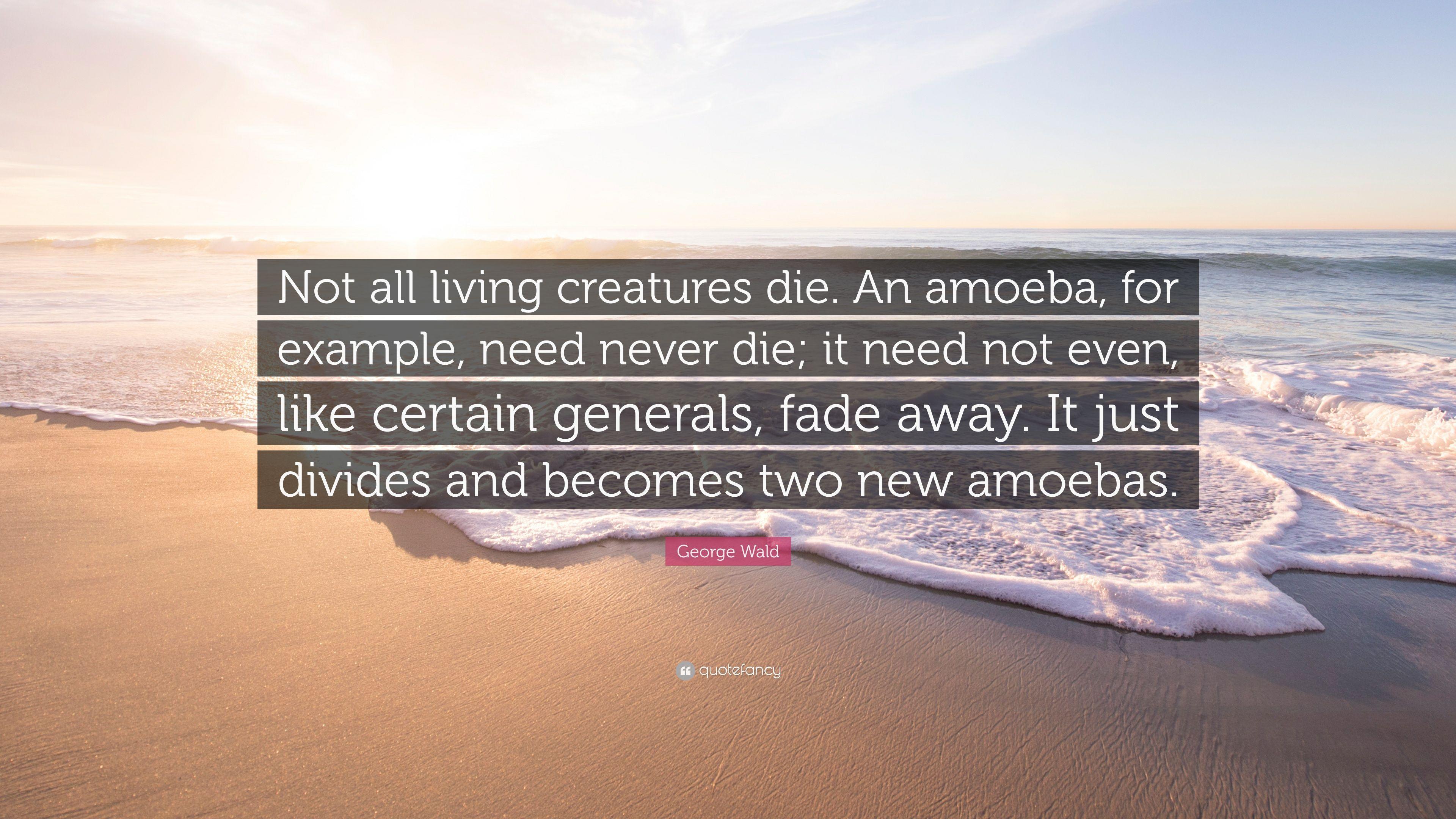 George Wald Quote: “Not all living creatures die. An amoeba